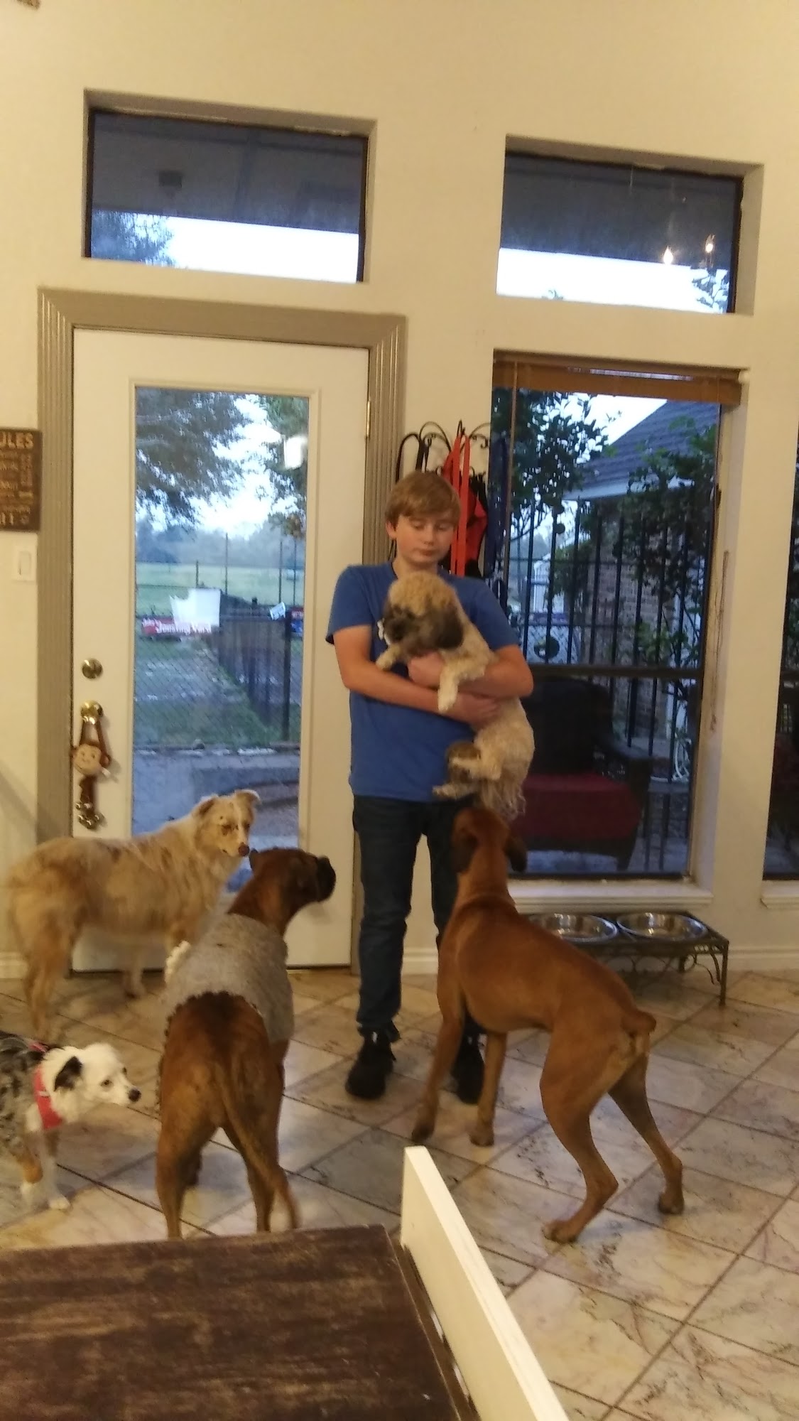 The Canine Castle LLC (of Alvin, Texas) Alvin