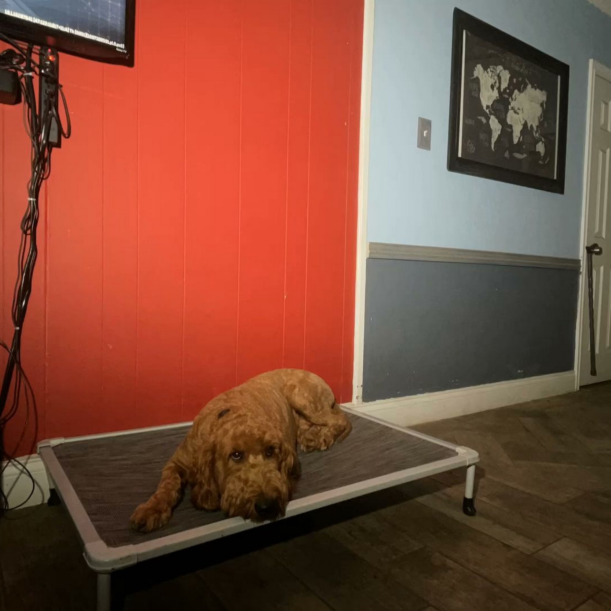 Kanye Corso Training Alvin