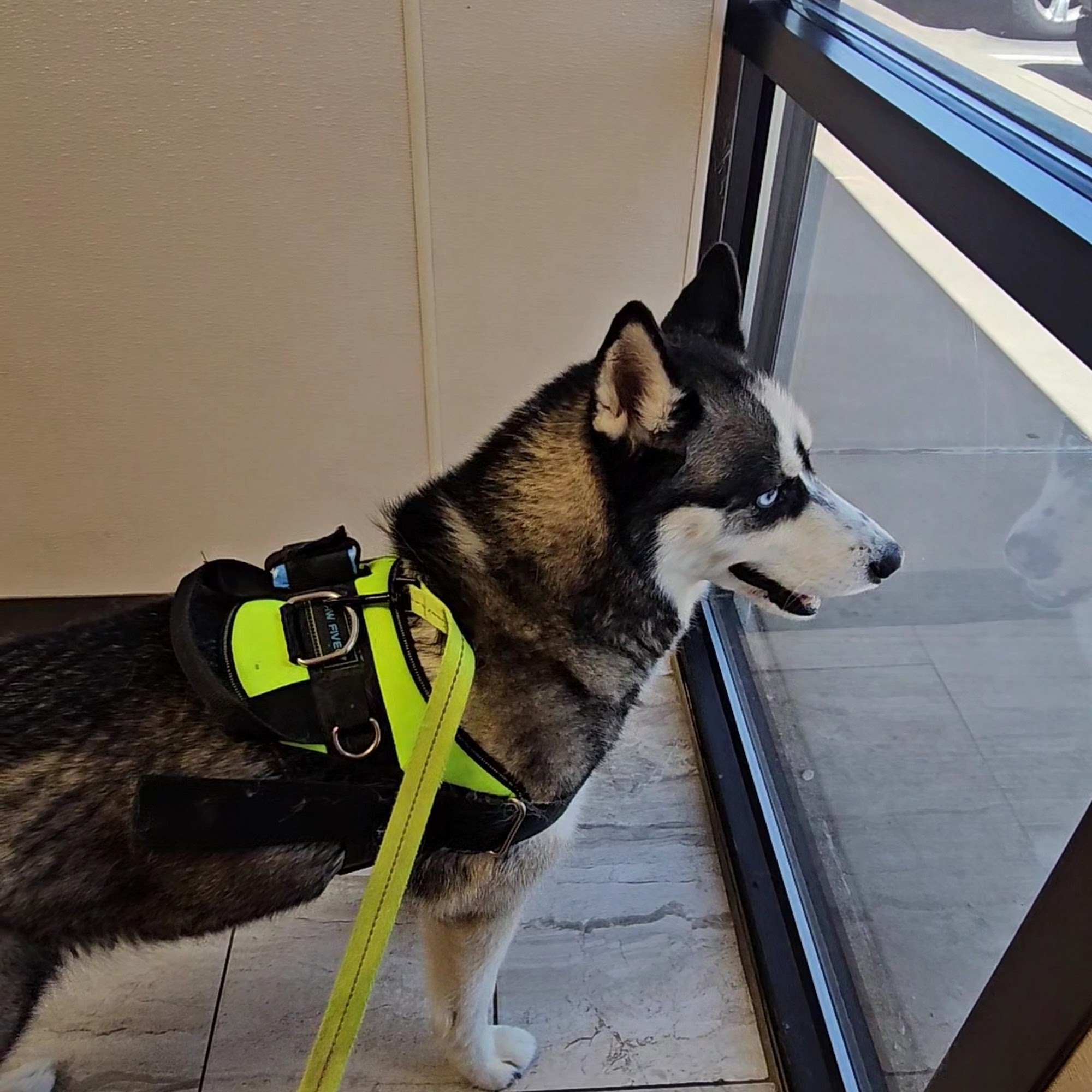 Swann Animal Clinic at Hillside (for emergencies before 8:30 PM please call our Urgent Care Clinic) Amarillo