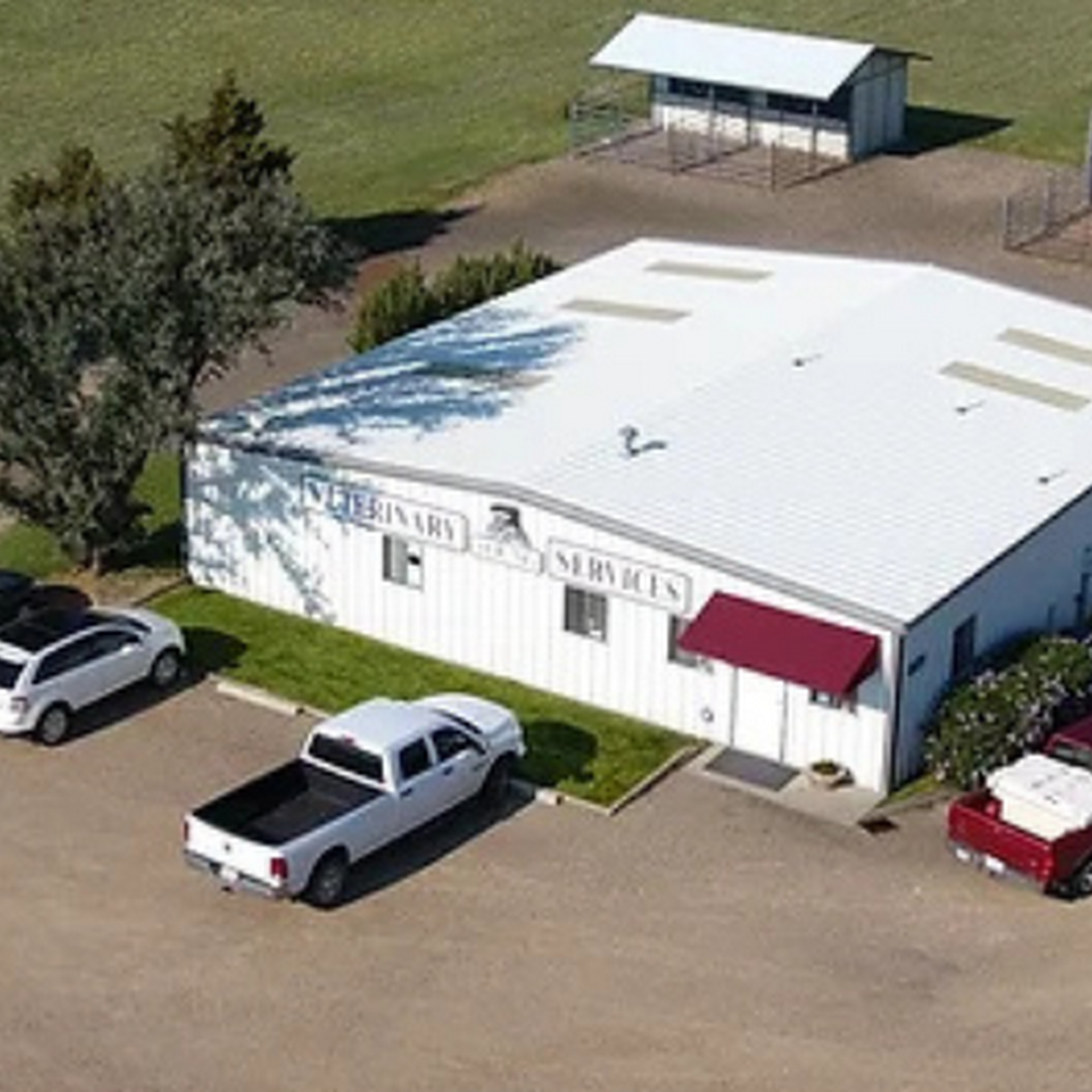 Young Veterinary Services Amarillo