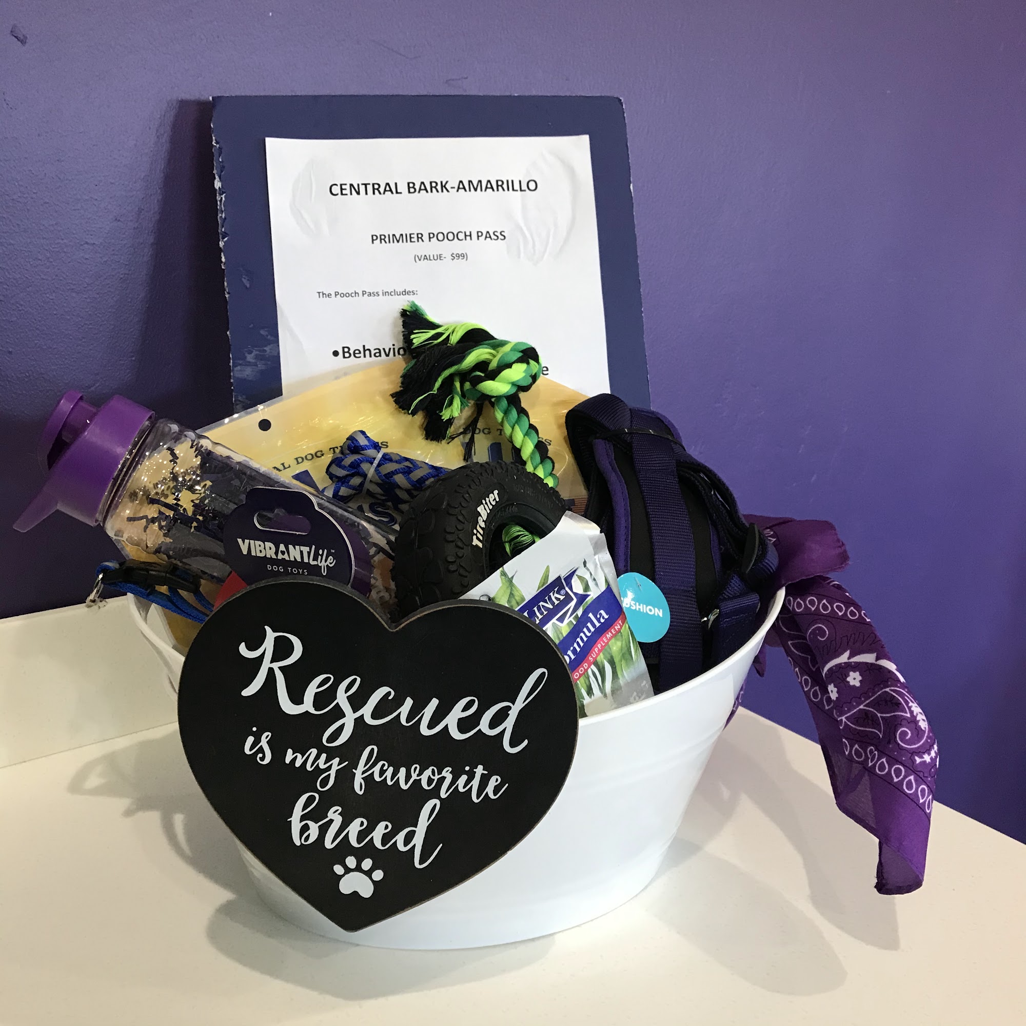 Central Bark Amarillo Amarillo