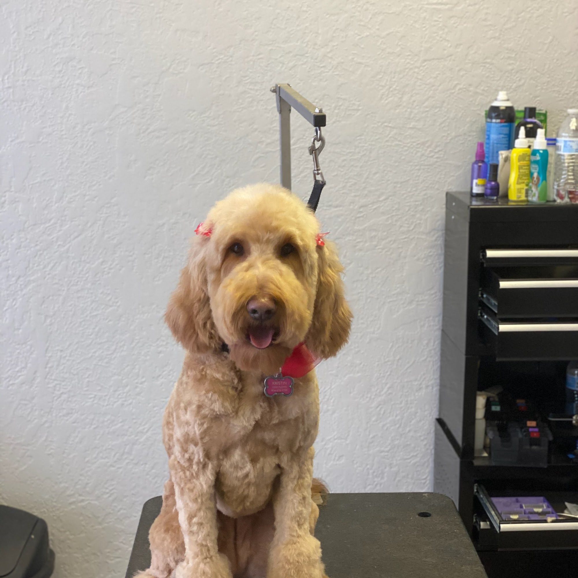 The Groomery Amarillo