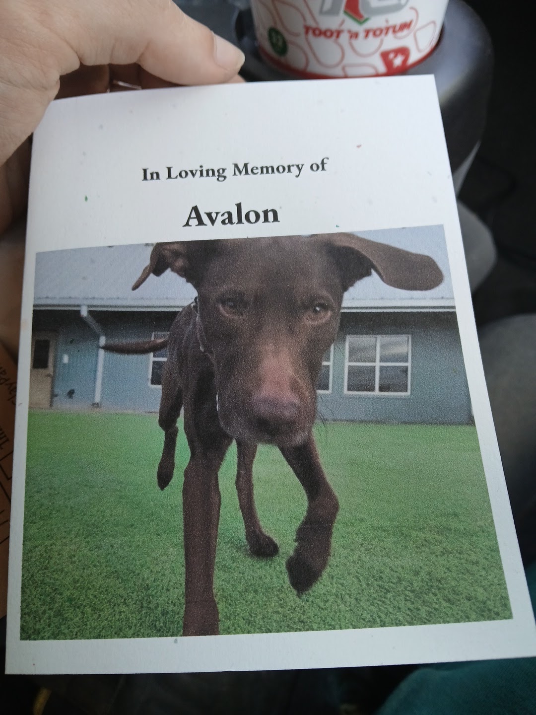 Heaven's Rainbow Bridge Pet Crematory Amarillo