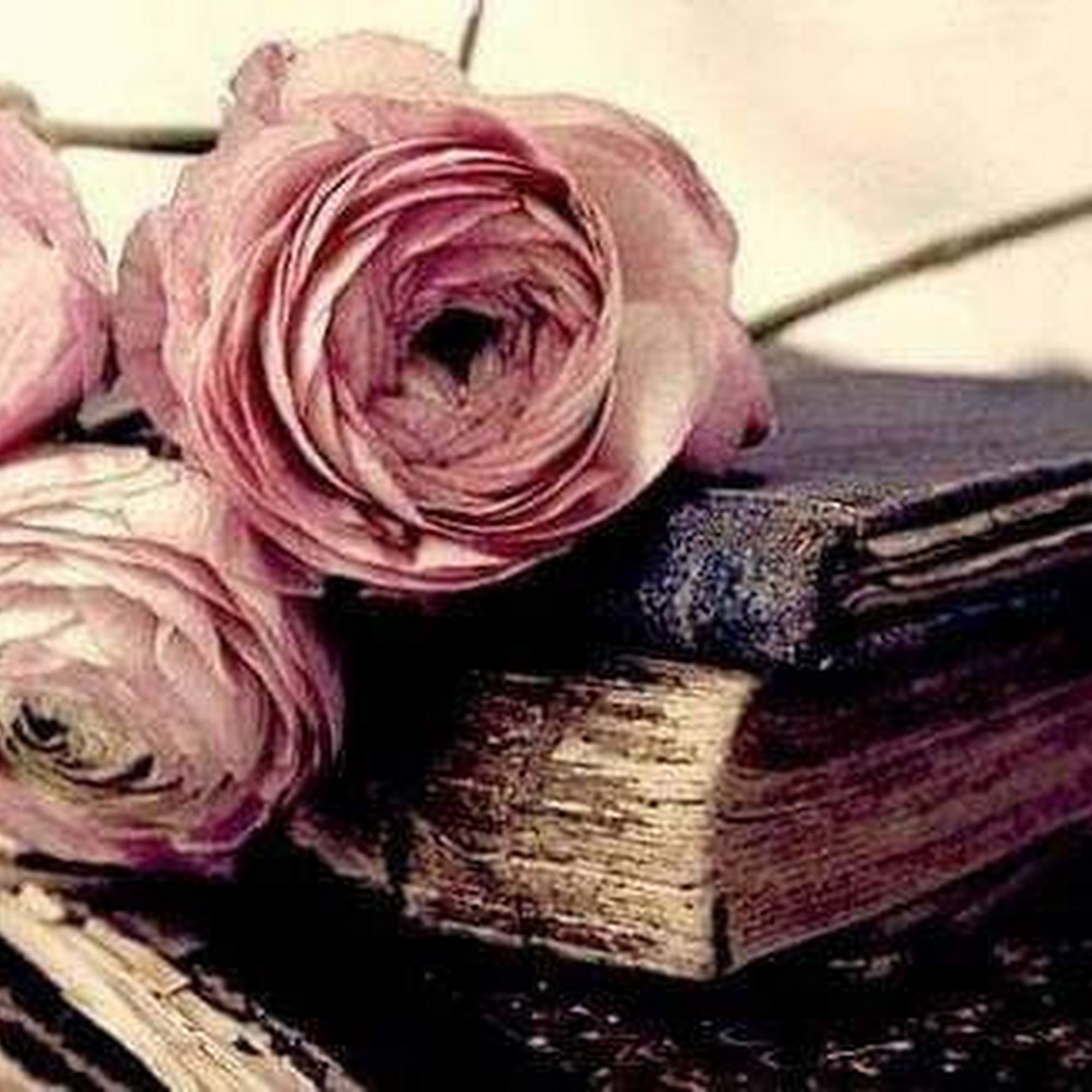 Not Just Dust Cleaning Services