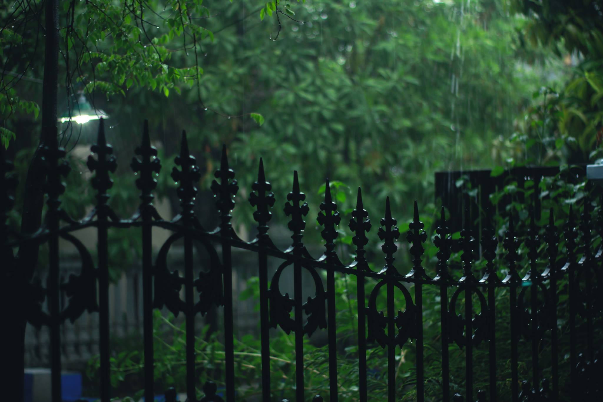 Canyon Custom Fencing
