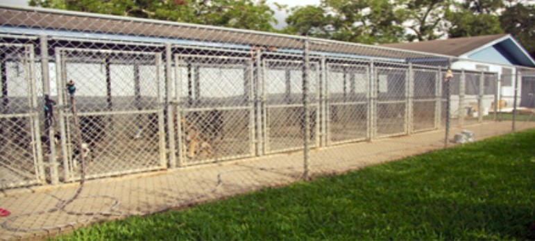 Oakwood Kennels Angleton