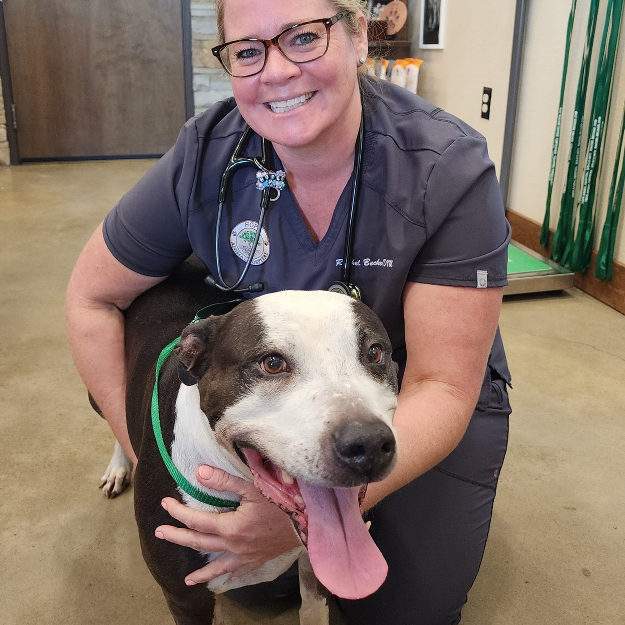 Hope Animal Hospital Angleton