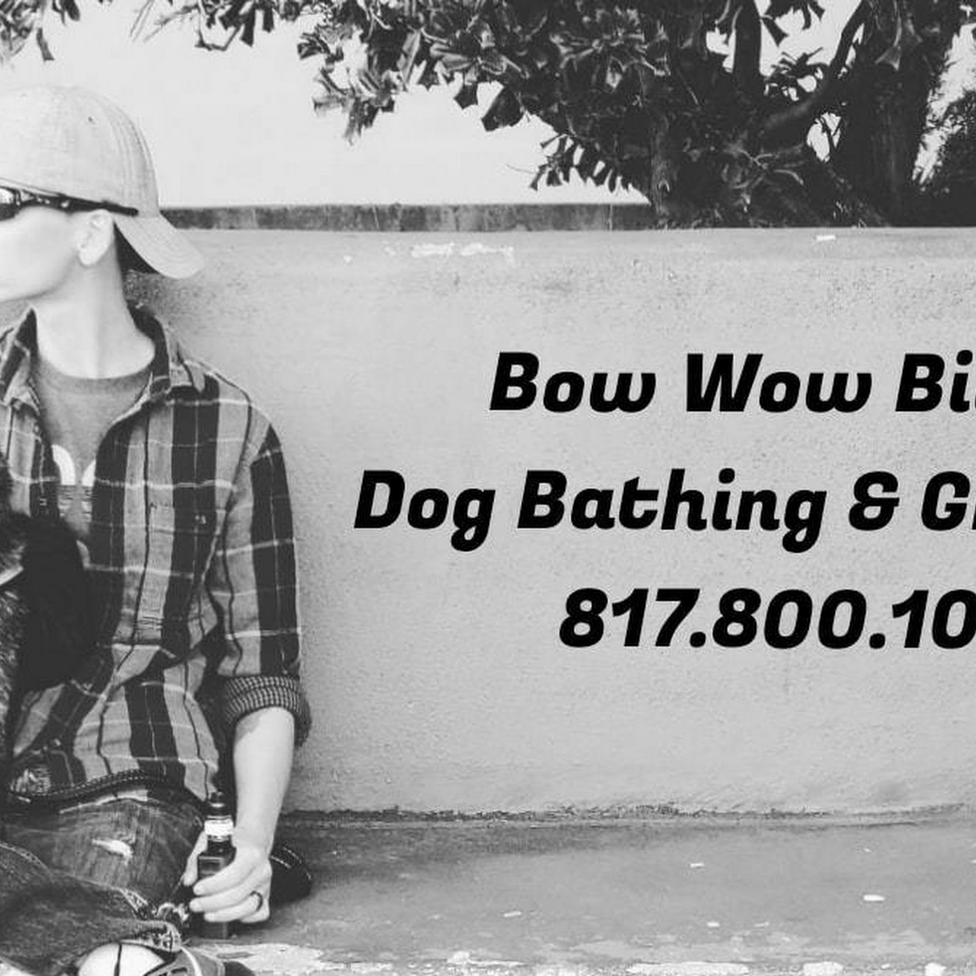 Bow Wow Billie's Dog Bathing and Grooming Arlington