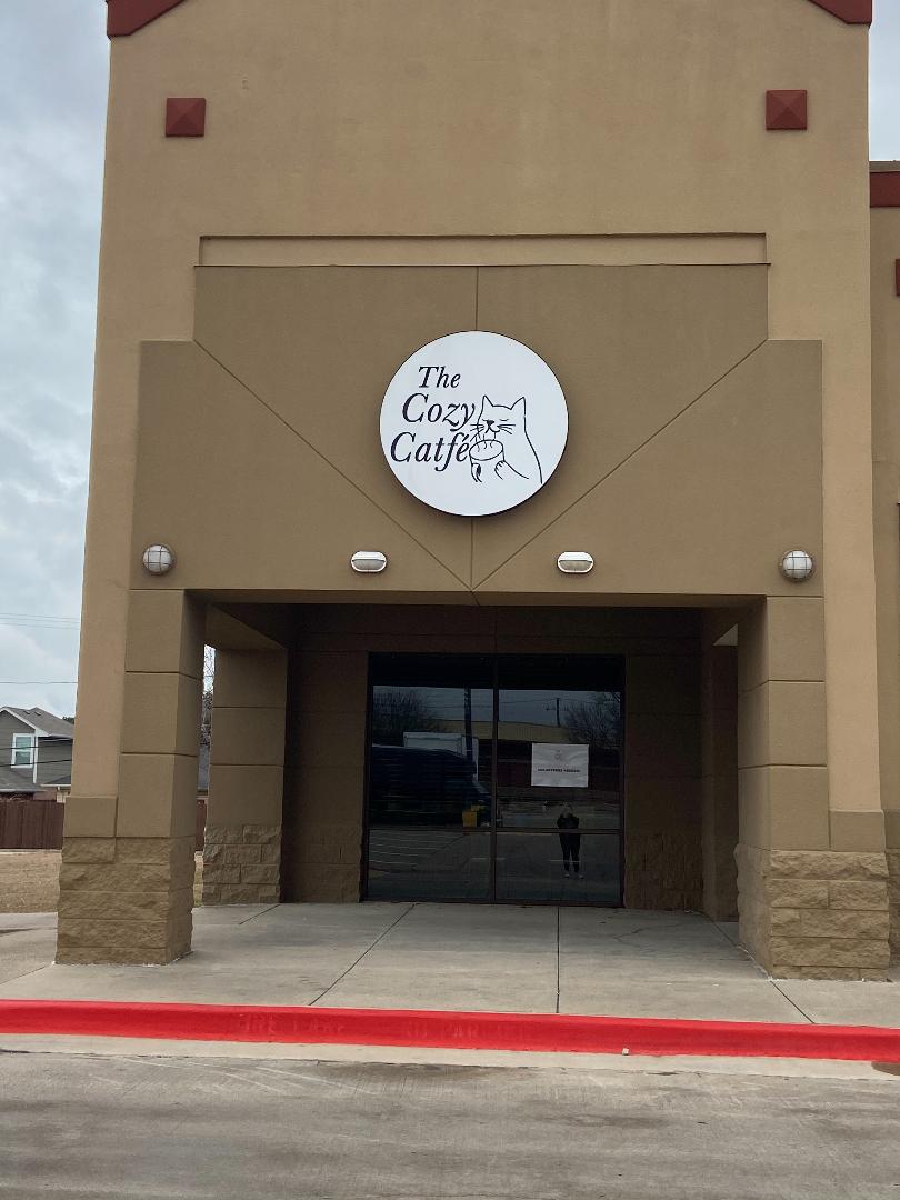The Cozy Catfe Arlington
