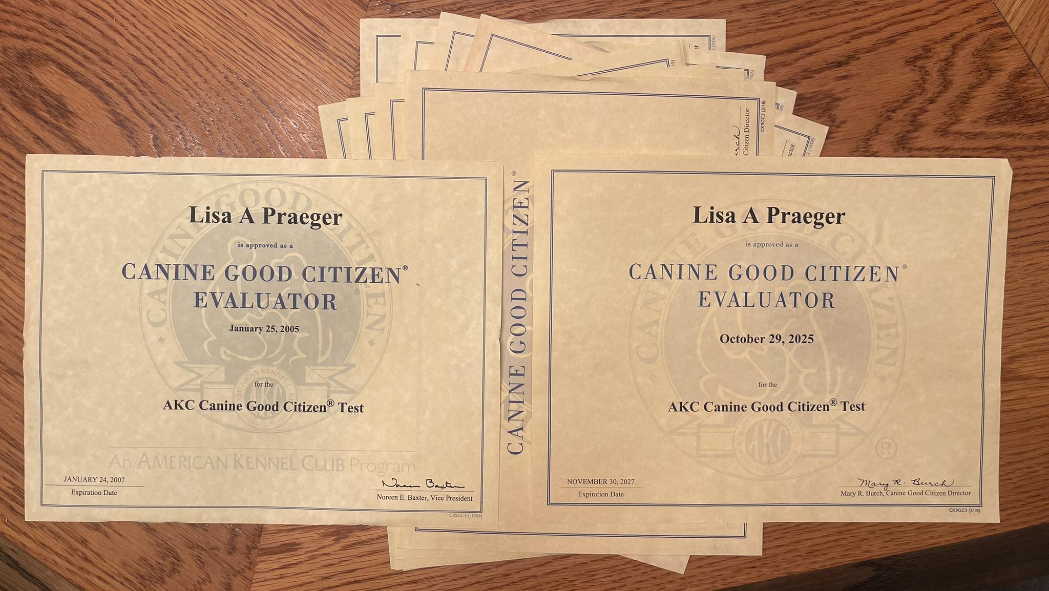 Lisa's K-9 Kids Arlington