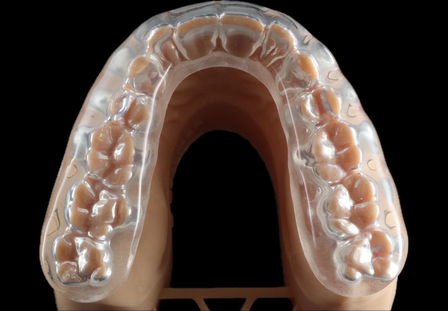 Dental Dynamics Laboratory