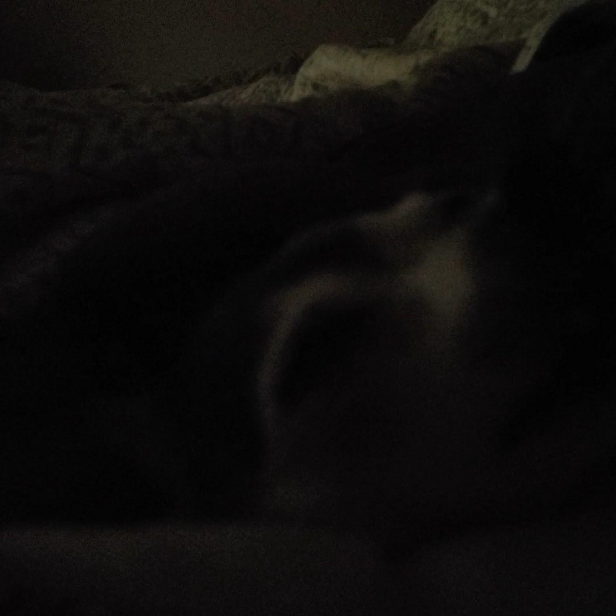 Veterinary Medical Center of Athens Athens