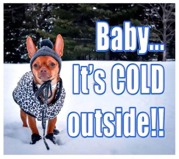 Bubbles & Bows Grooming & Boutique Athens