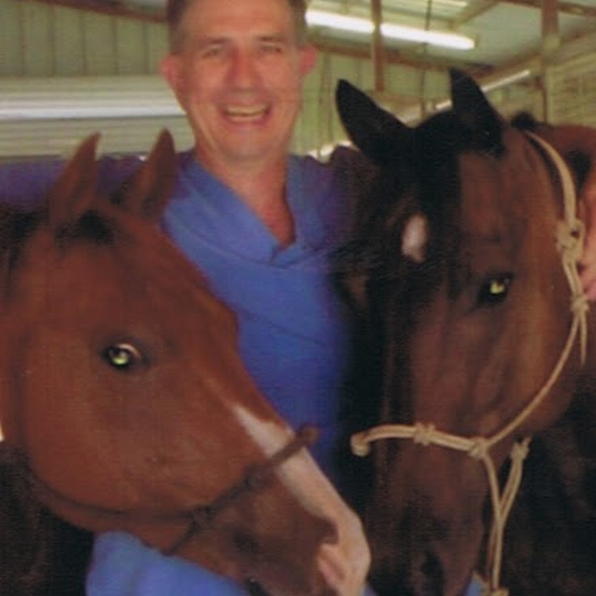 Aubrey Equine Clinic Aubrey