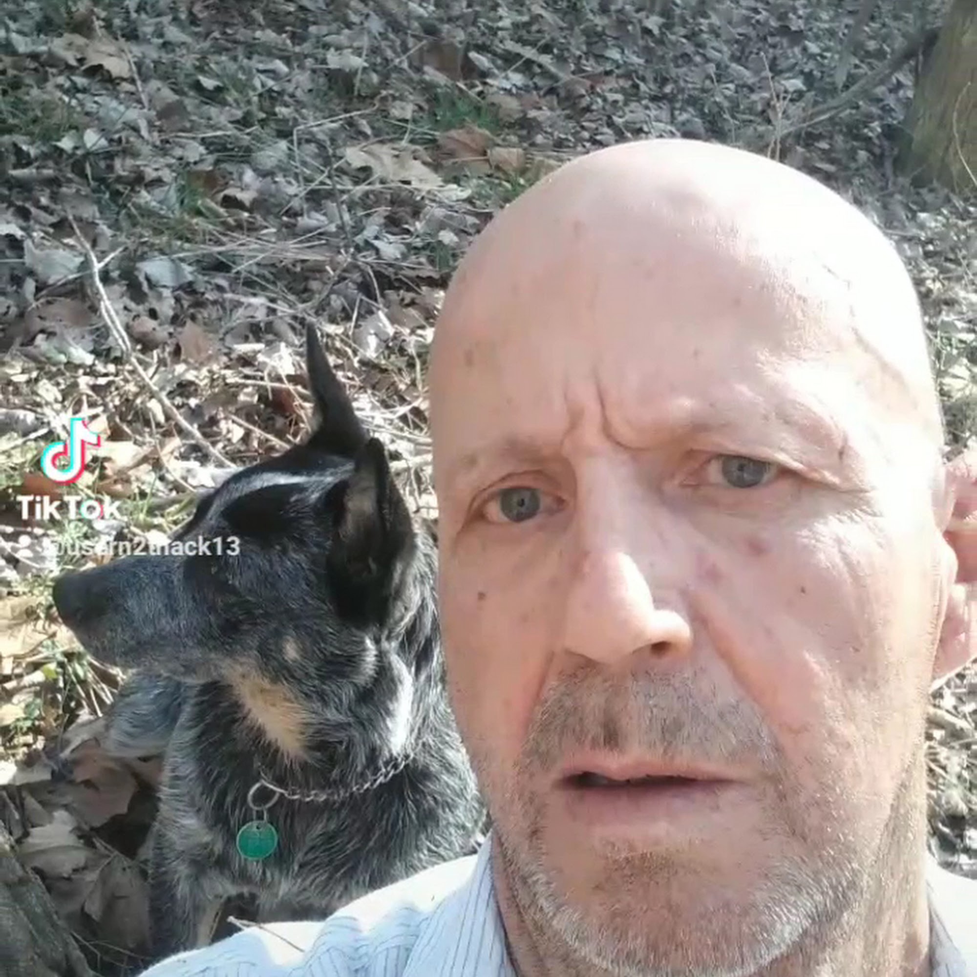 Canine Cowboy Aubrey