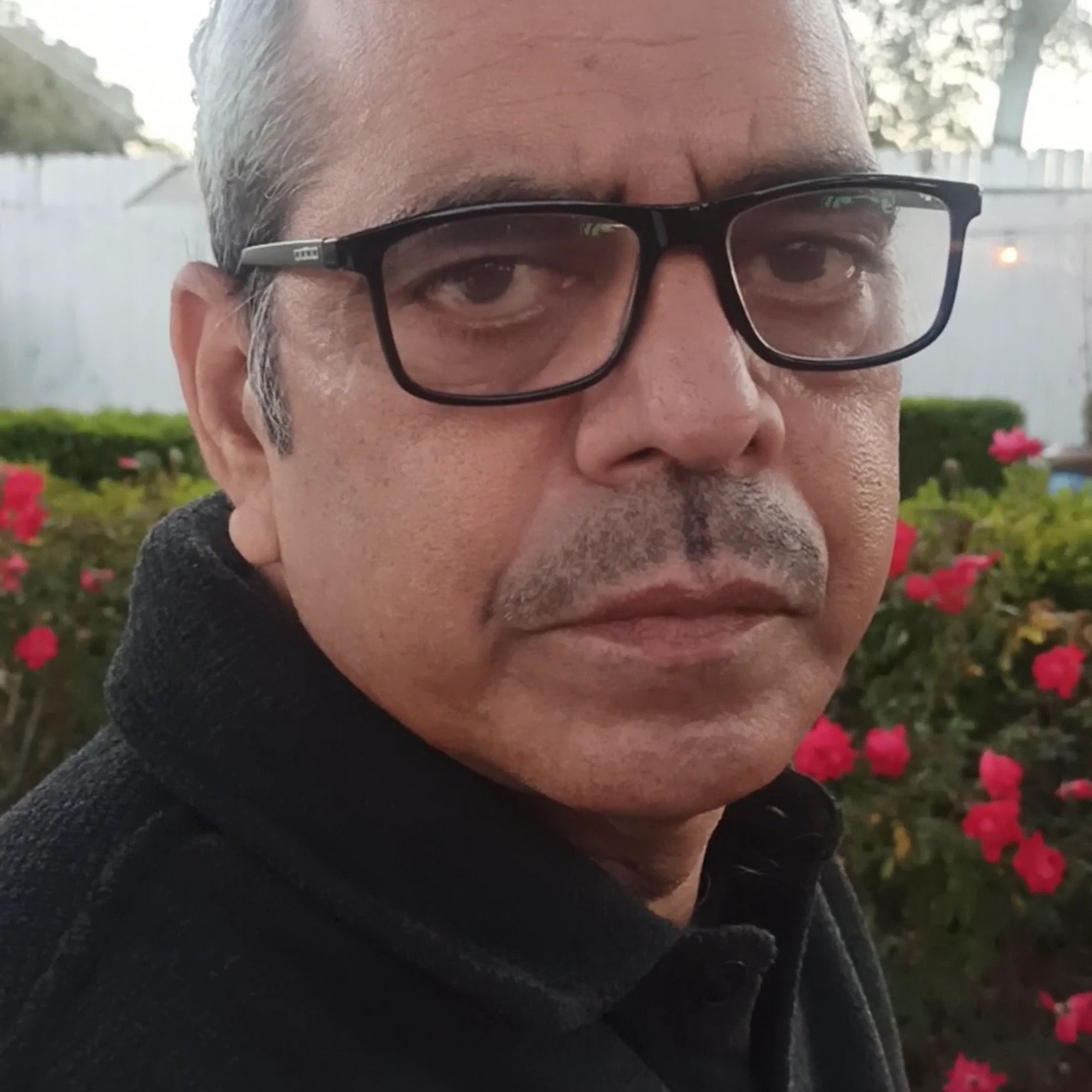 Manolis Ice Cream, Pops, Sorbet & More Austin