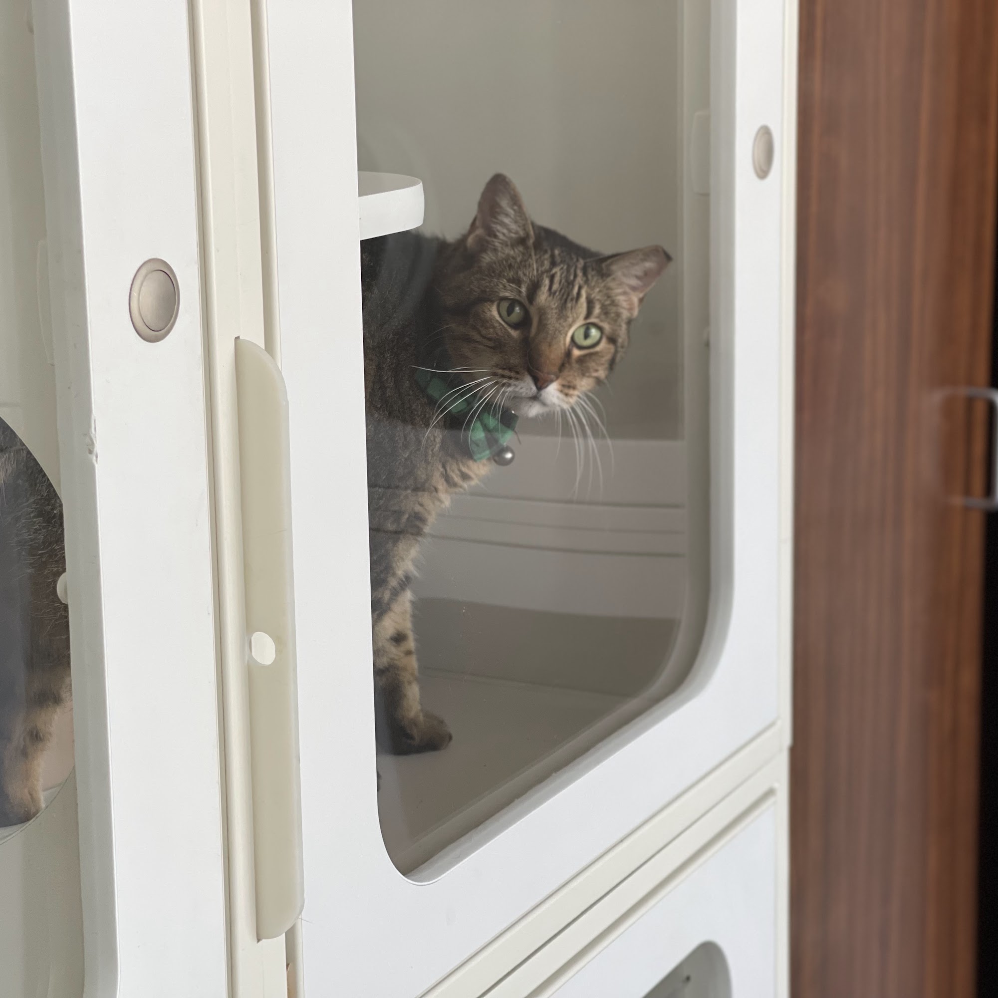 2222 Veterinary Clinic Austin