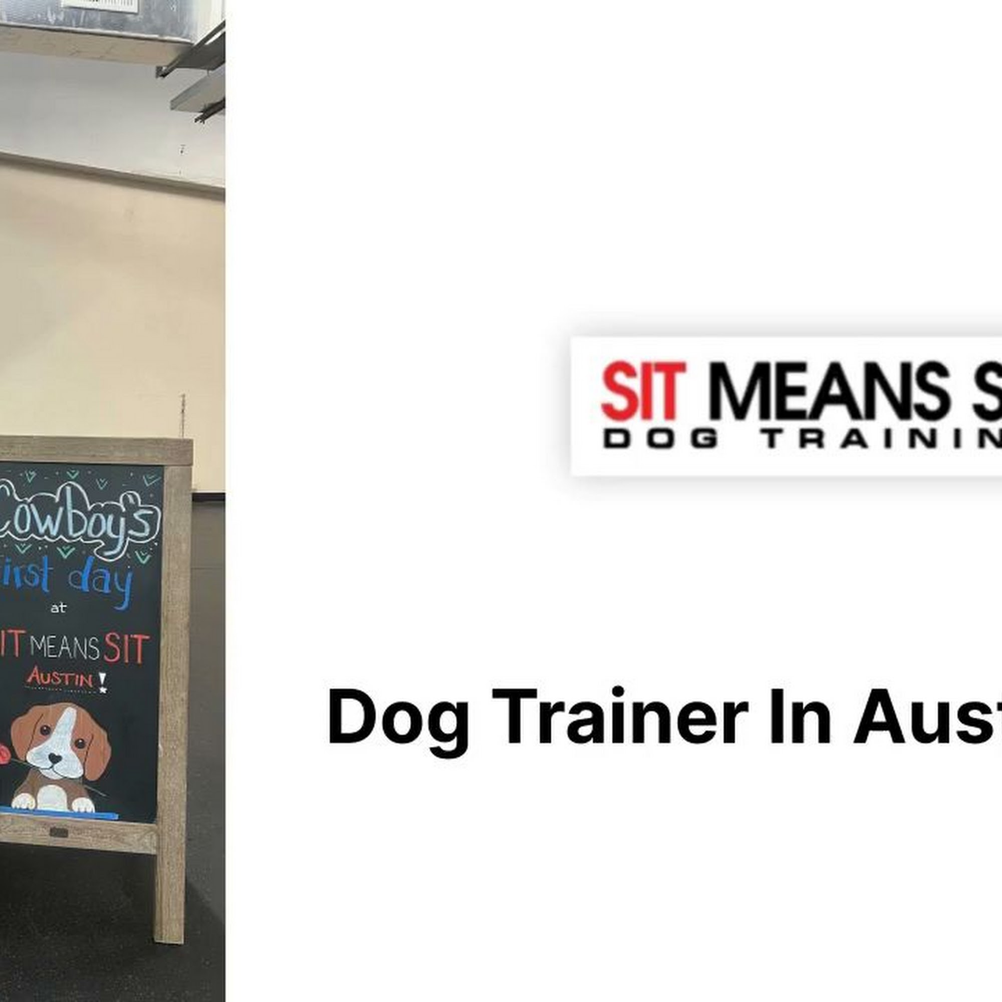 Sit Means Sit Dog Training - Austin Austin