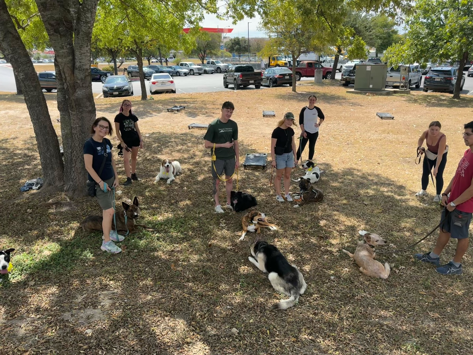 Sit Means Sit South Austin Austin