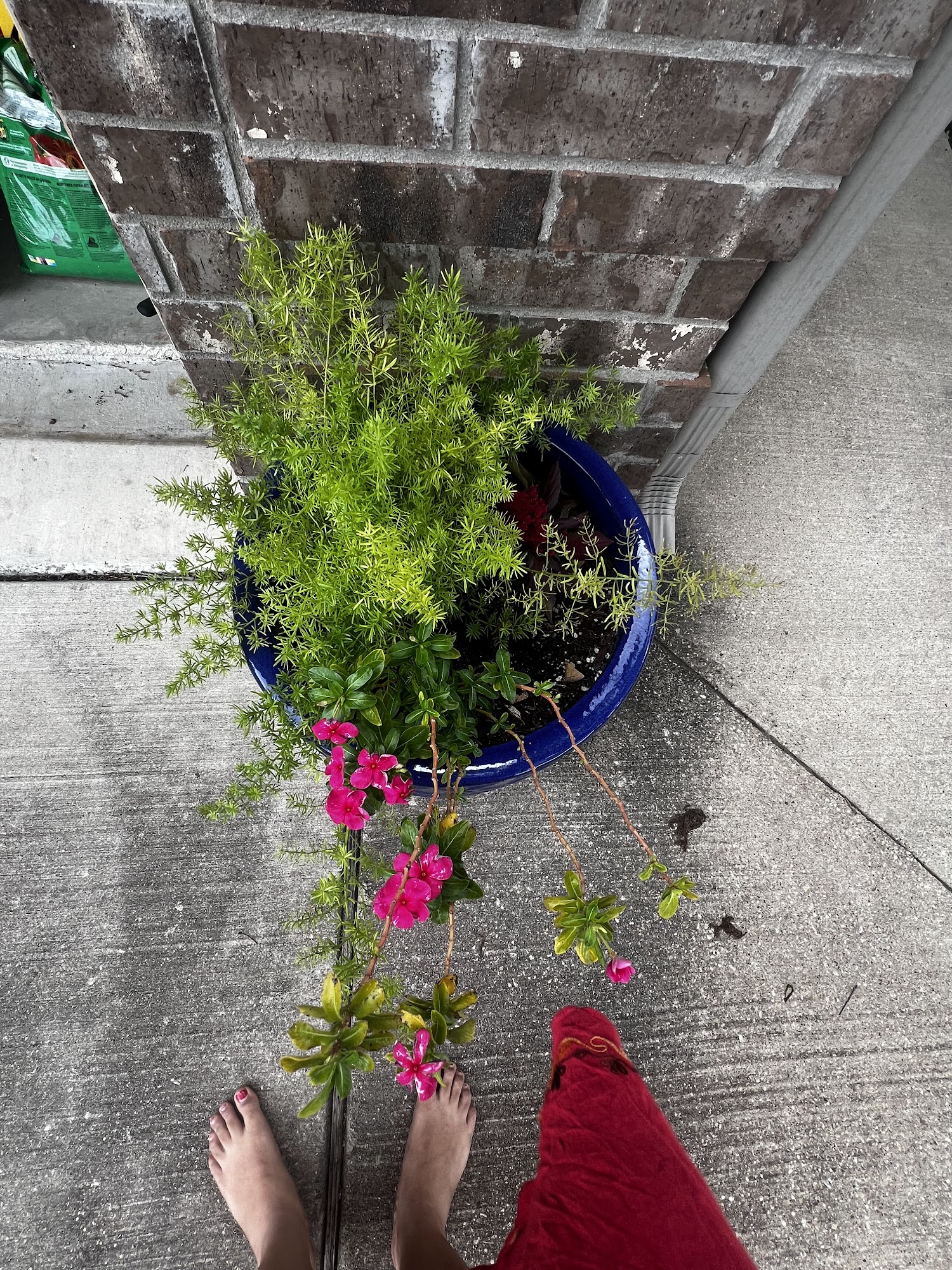 Waterloo Pest Management