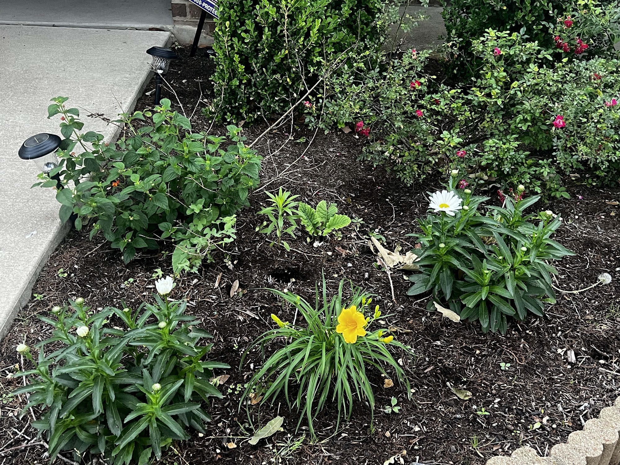 Waterloo Pest Management