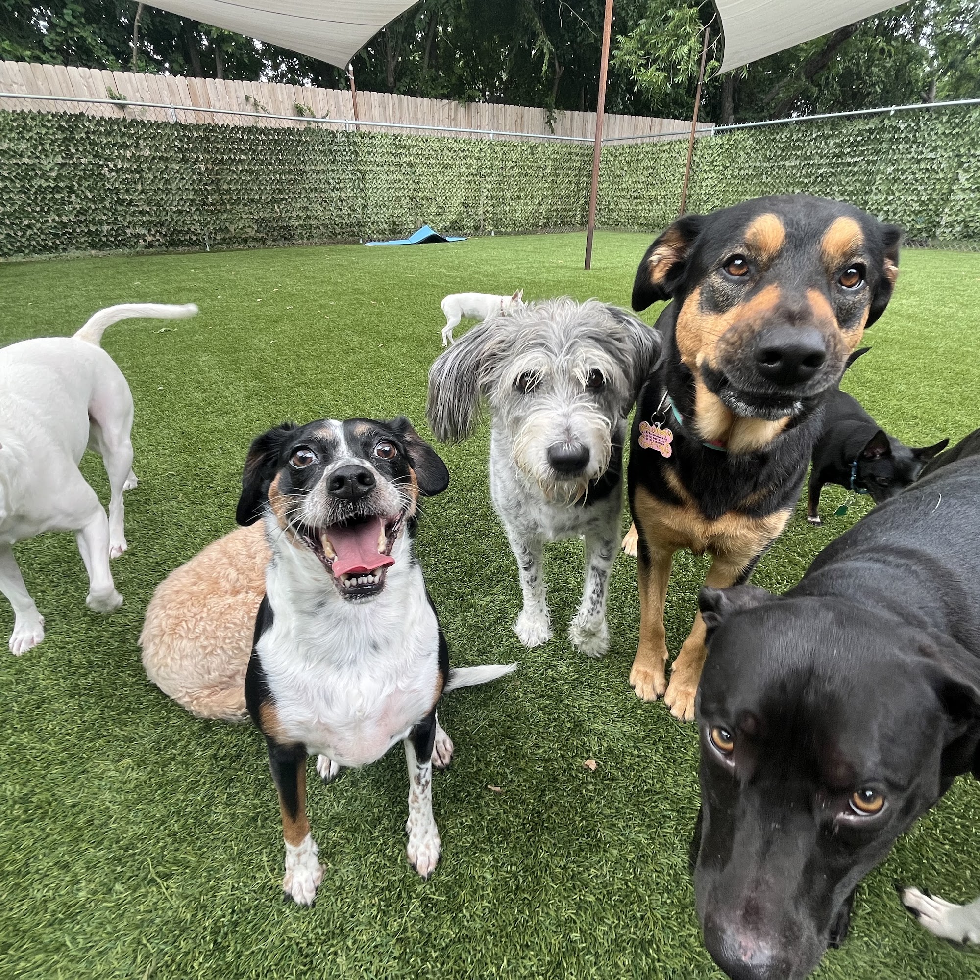 Second Home Boarding, LLC Austin