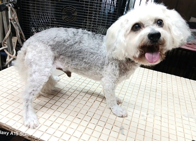 Photo credit: bestprosintown