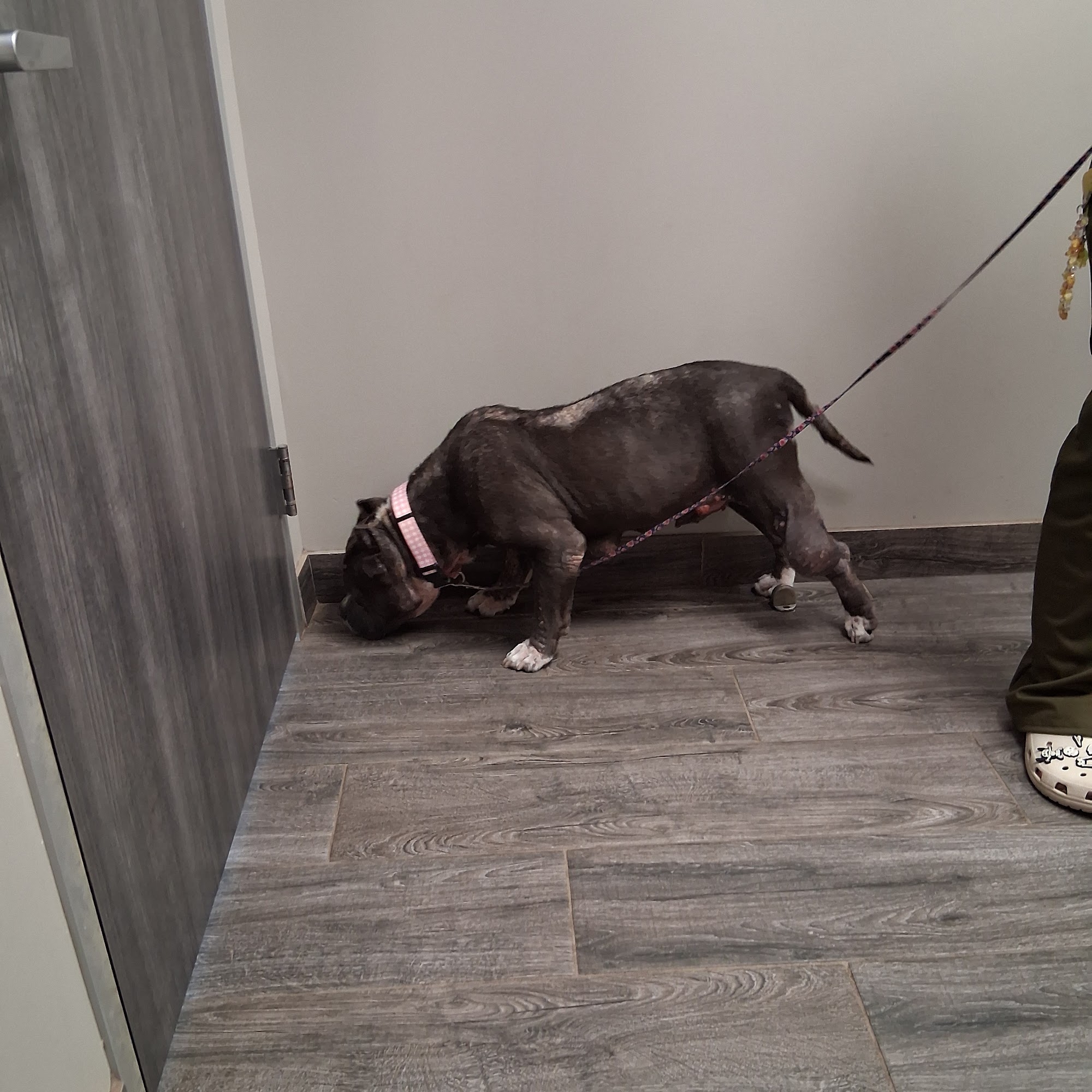 Matagorda Veterinary Clinic Bay City