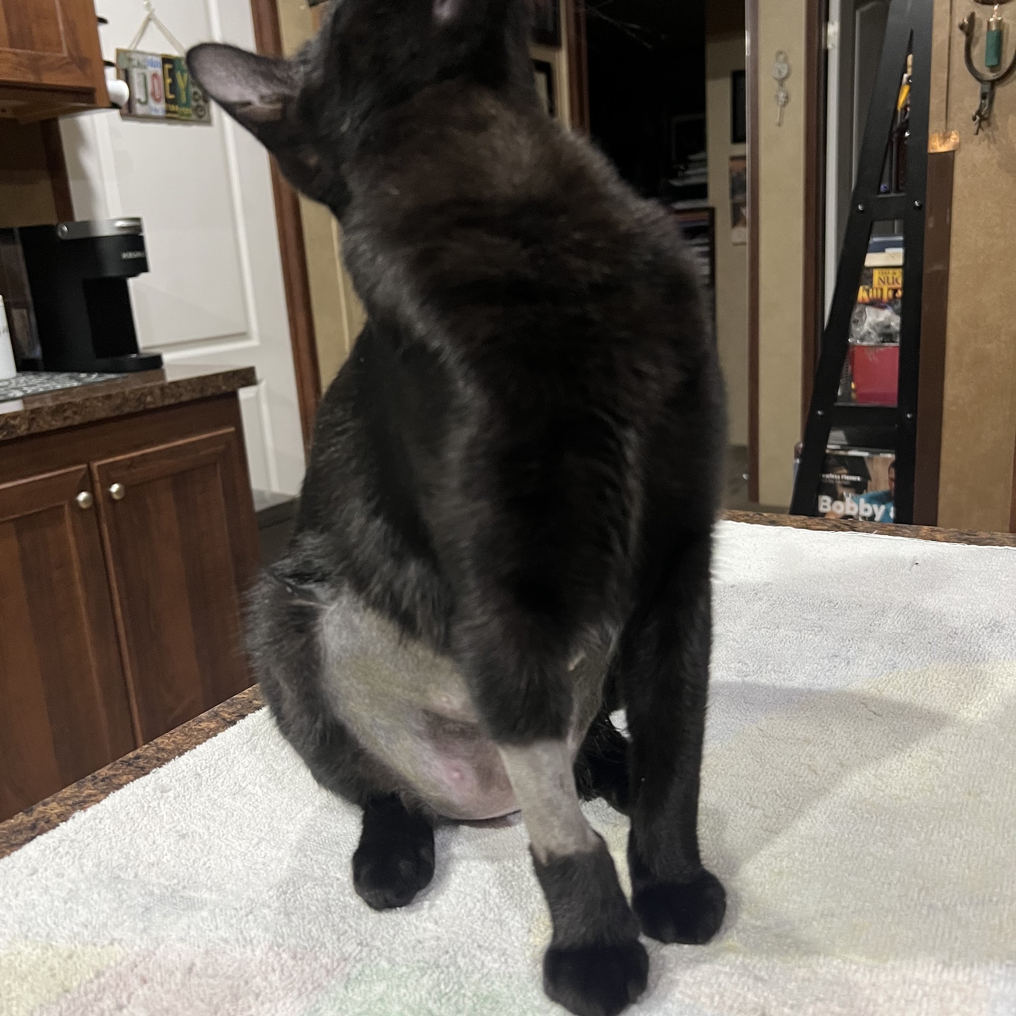 Animal Medical Center of Baytown Baytown