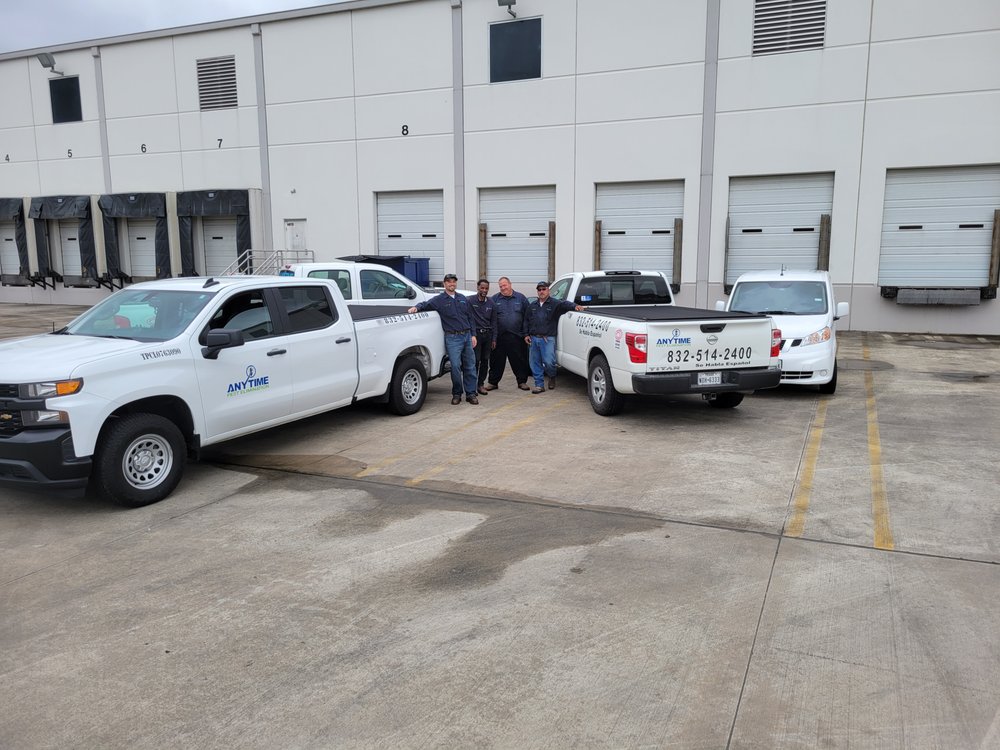 Same-Day Pest Control Baytown