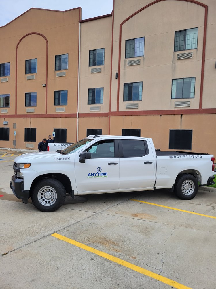 Same-Day Pest Control Baytown