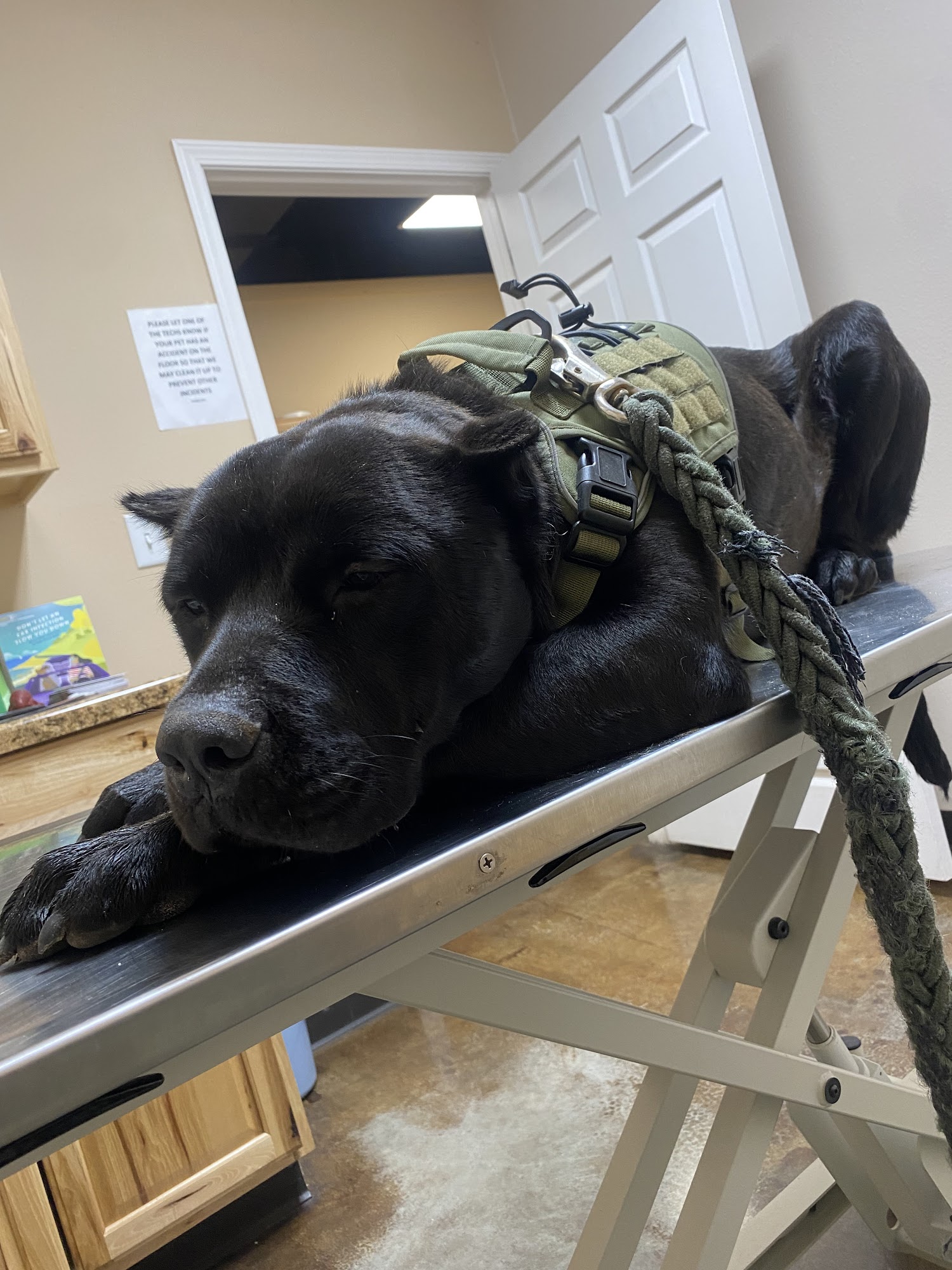 Eastex Veterinary Clinic Beaumont