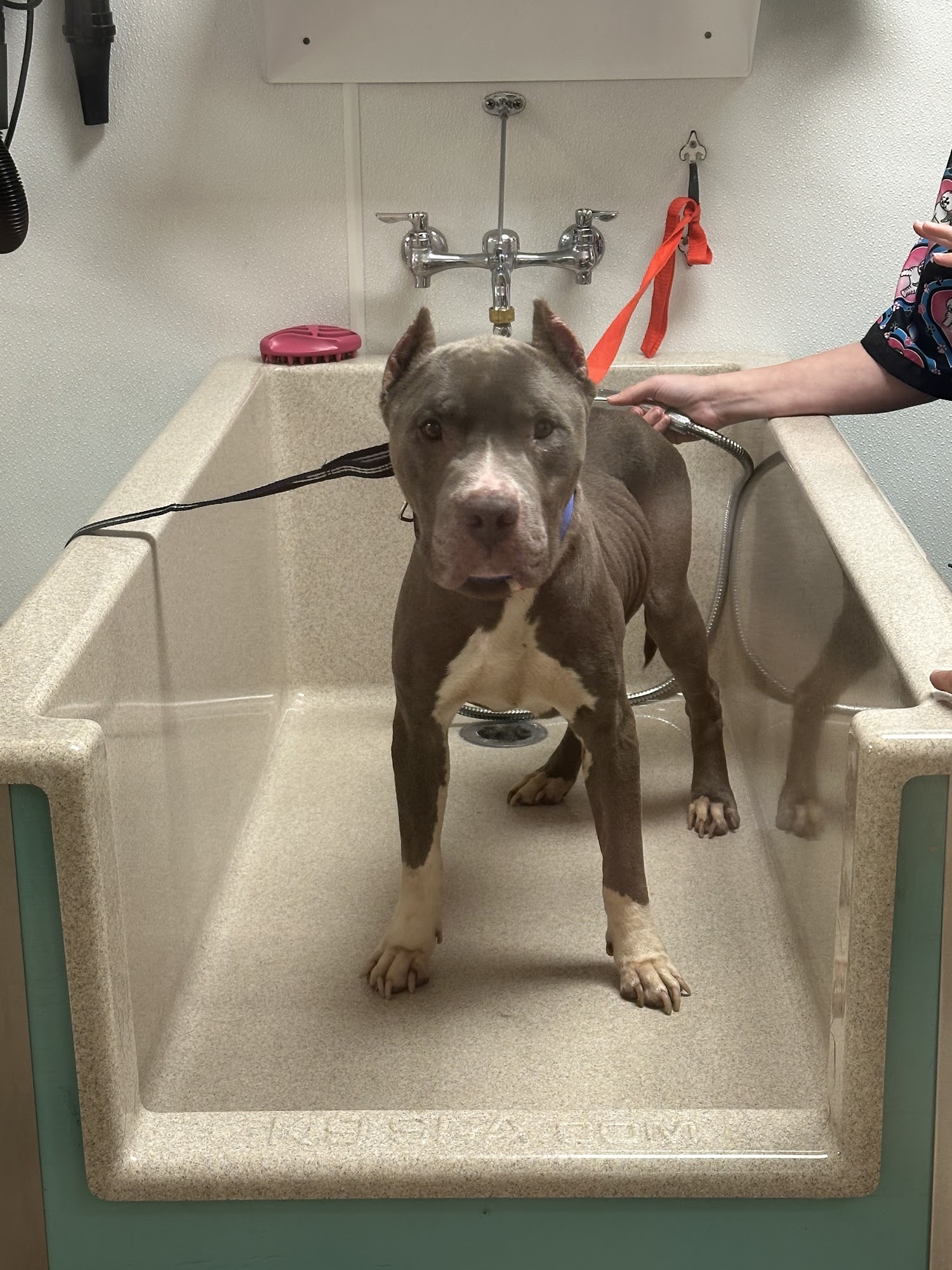 Beaumont West Animal Care Beaumont