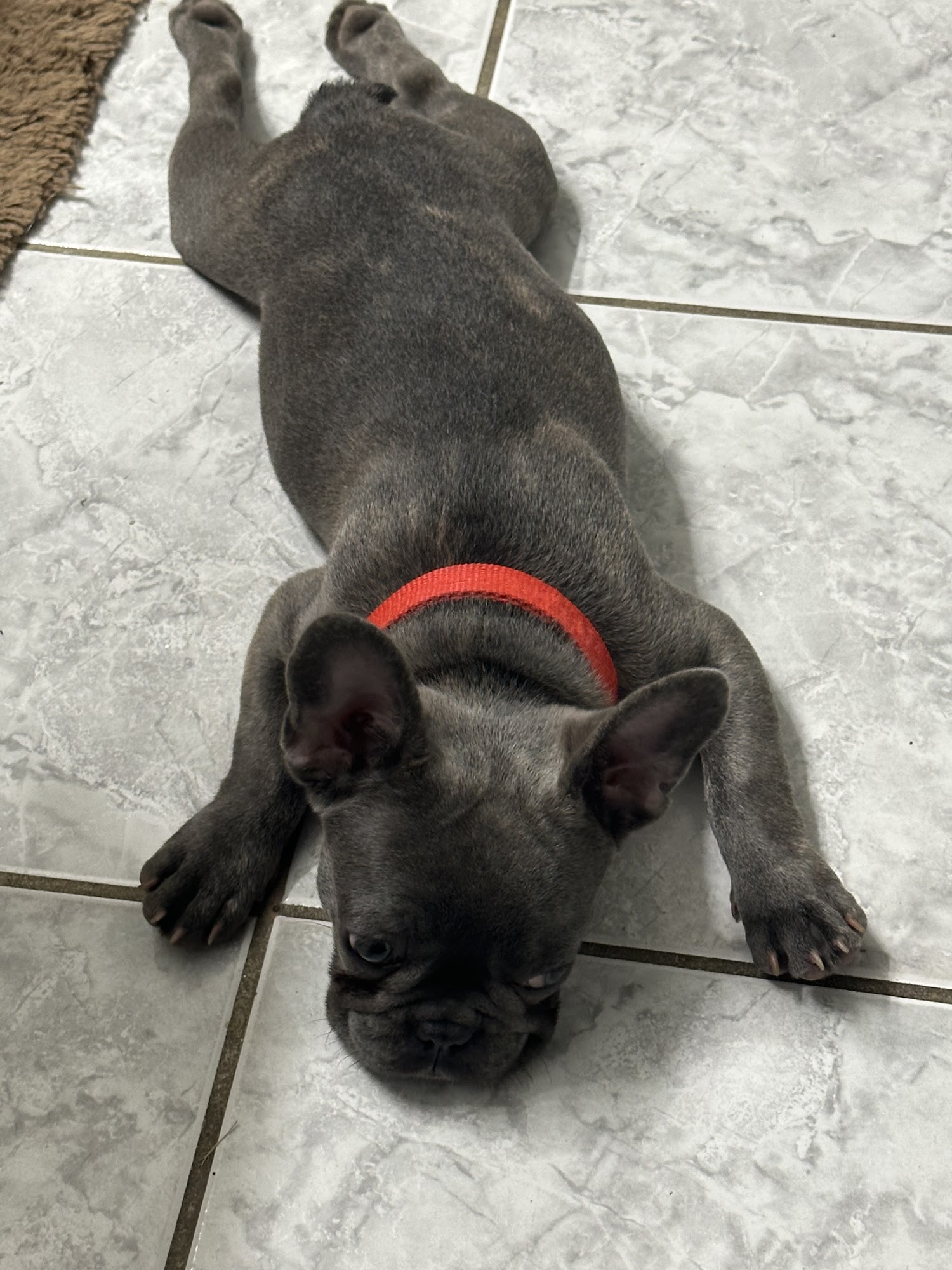 NVC - Calder Beaumont