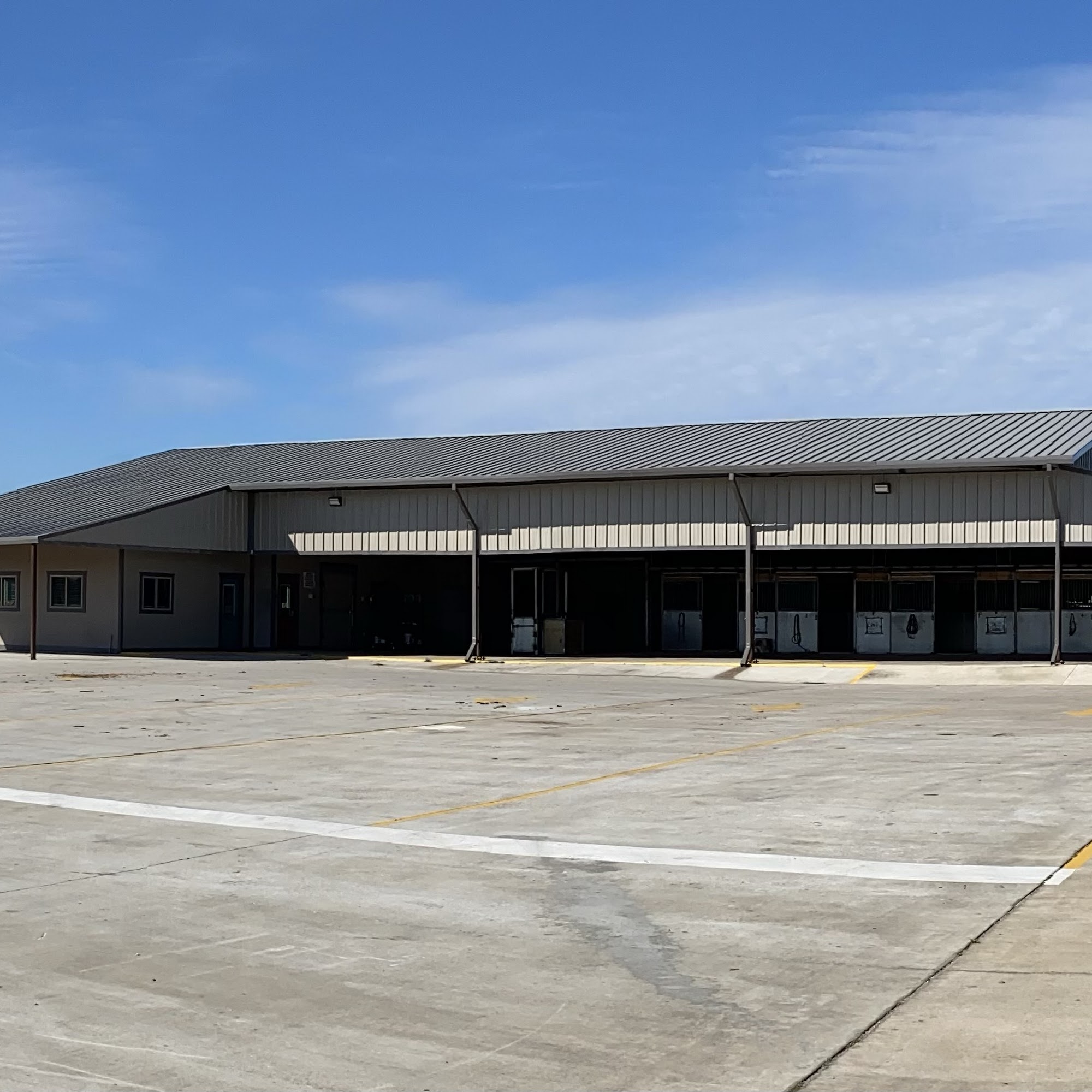 Equine Medicine & Surgery Beaumont