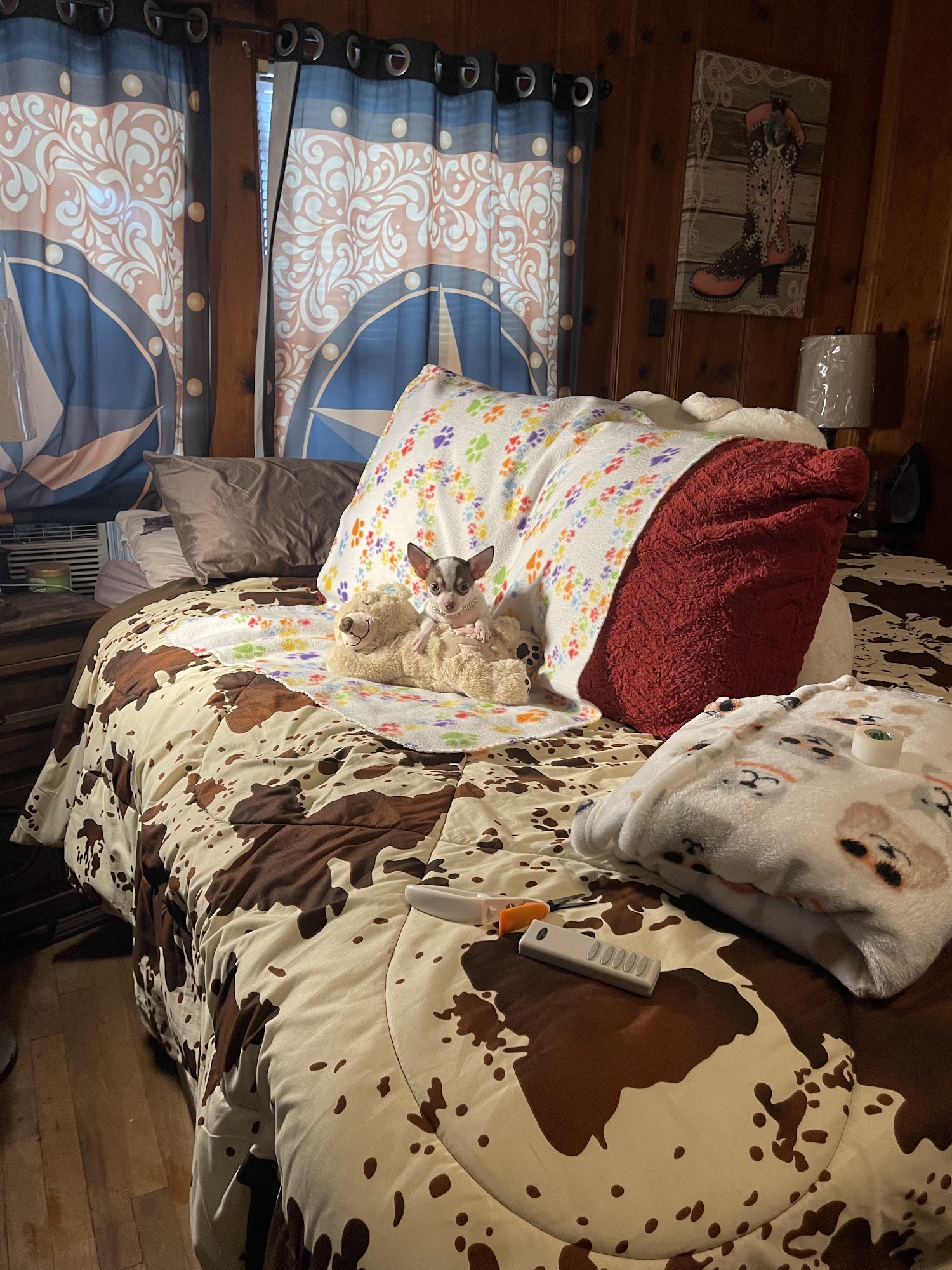 Anastasia's Tiny Pupps Beaumont