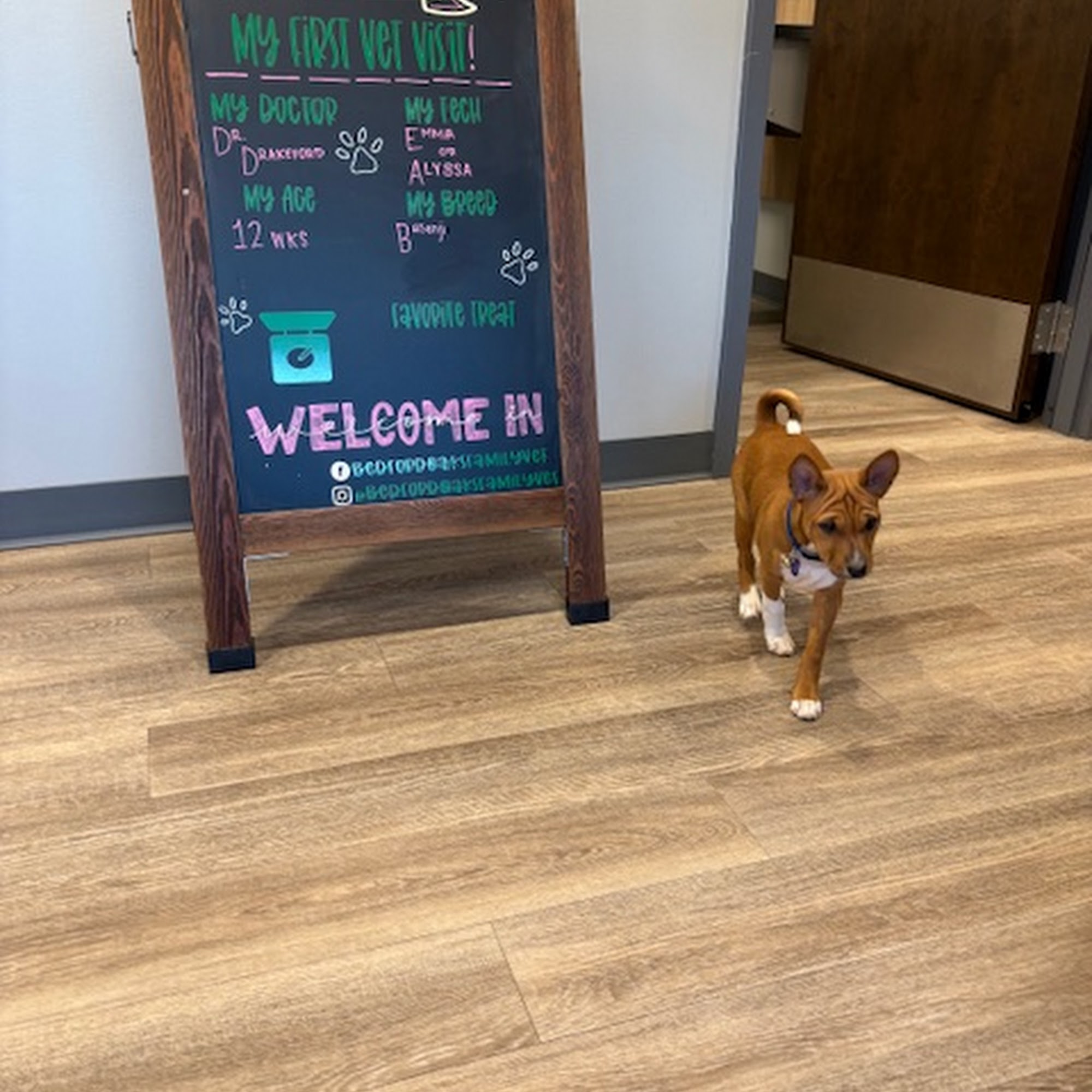 Bedford Oaks Family Vet Bedford