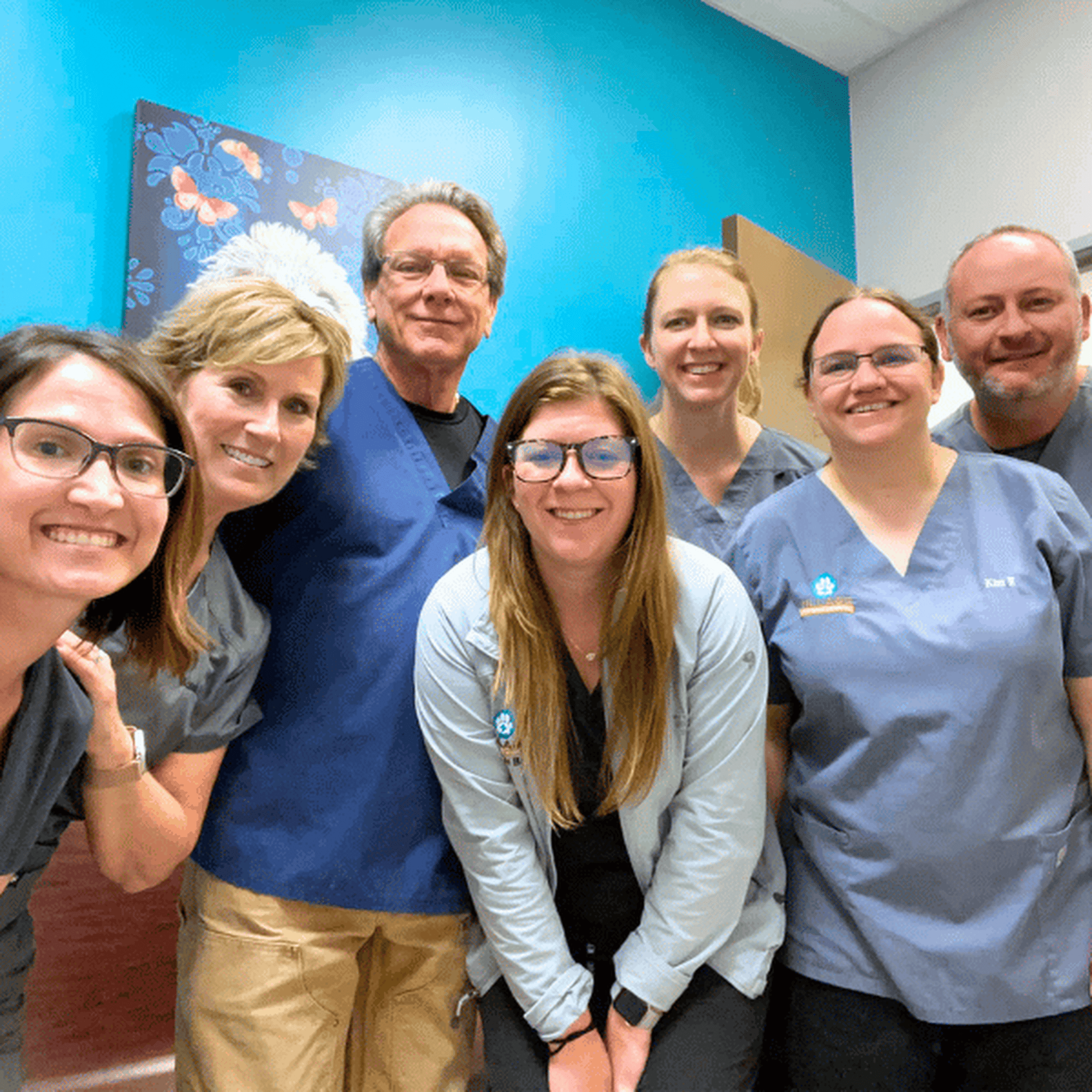 Village Vet Hospital Bee Cave