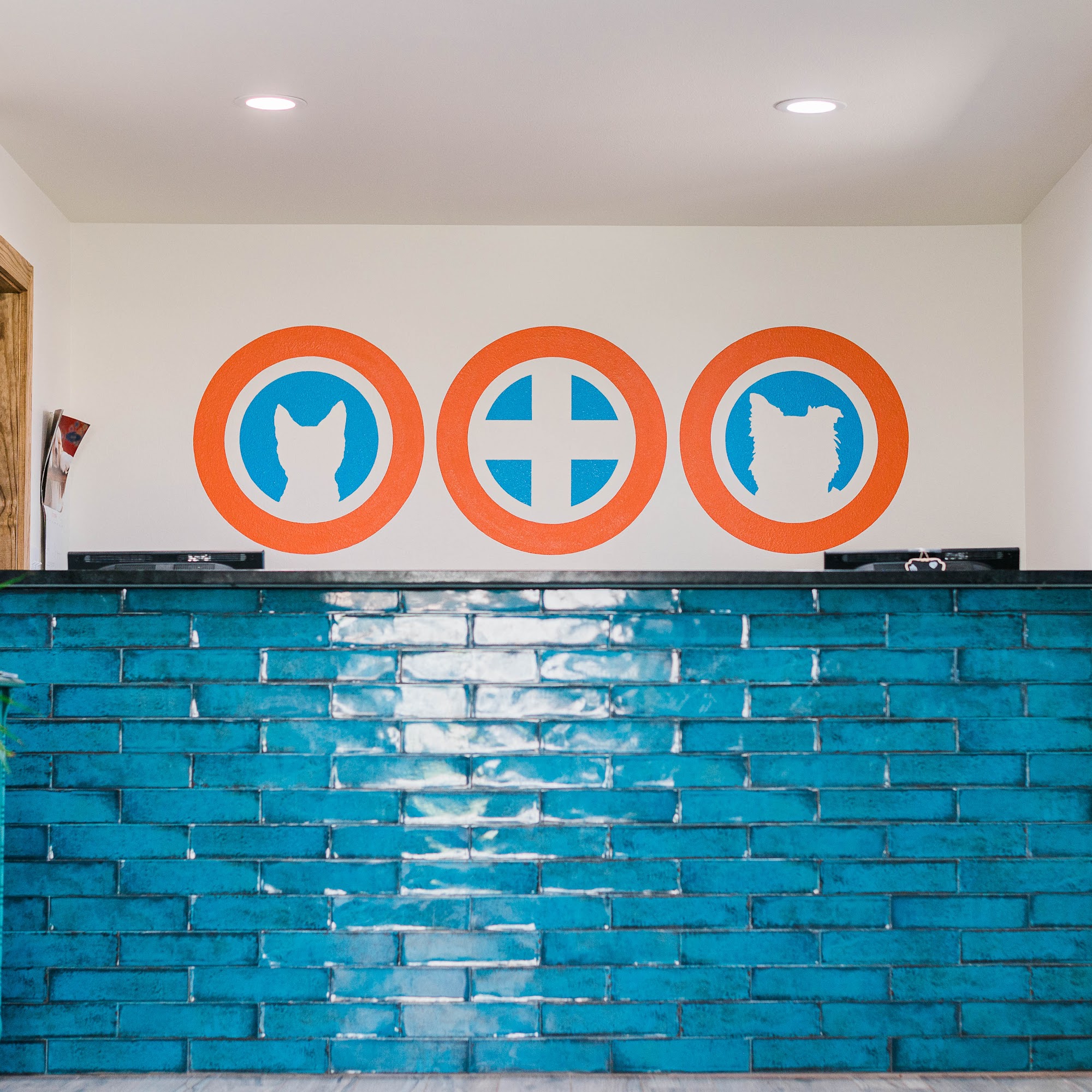 Beeville Veterinary Hospital Beeville