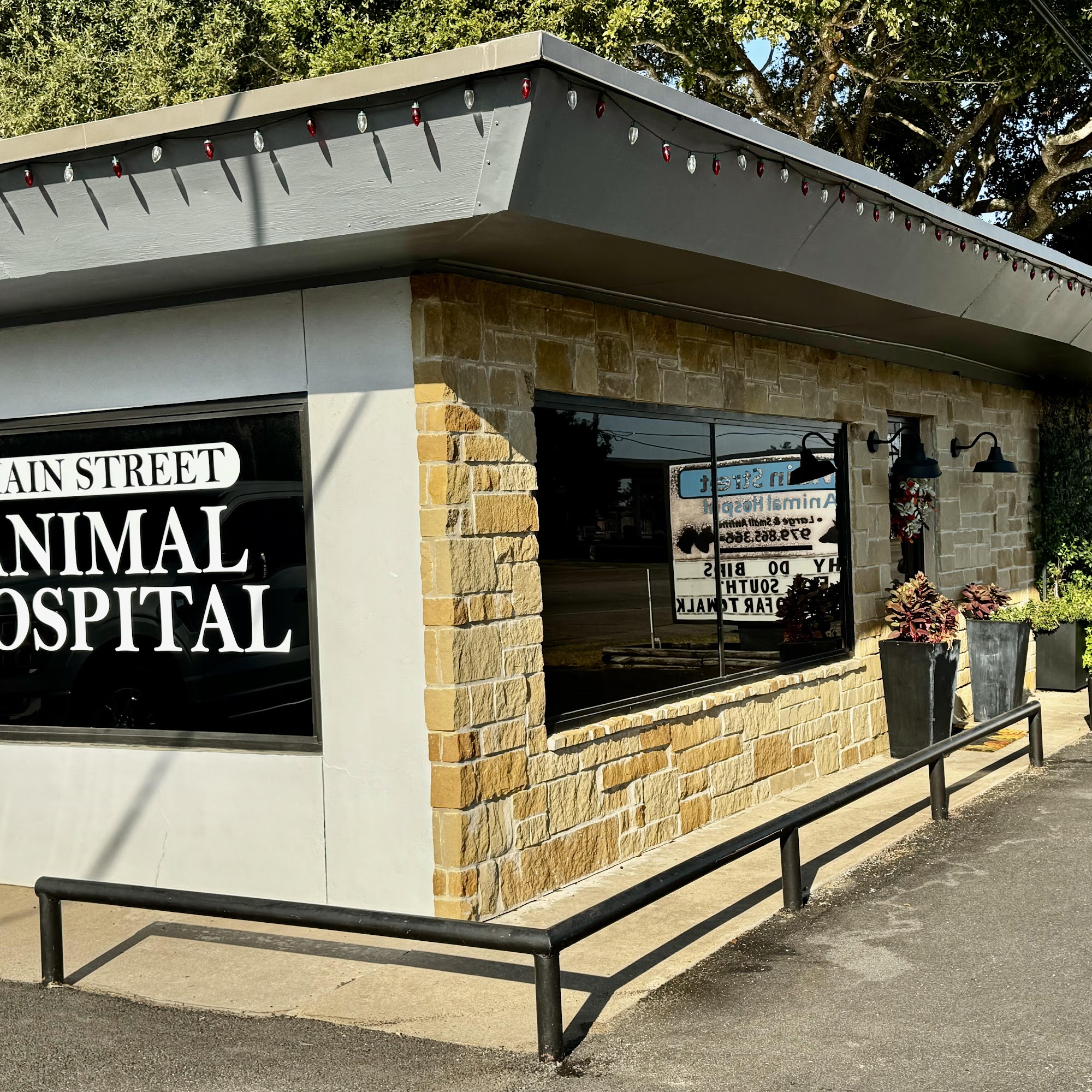 Main Street Animal Hospital Bellville