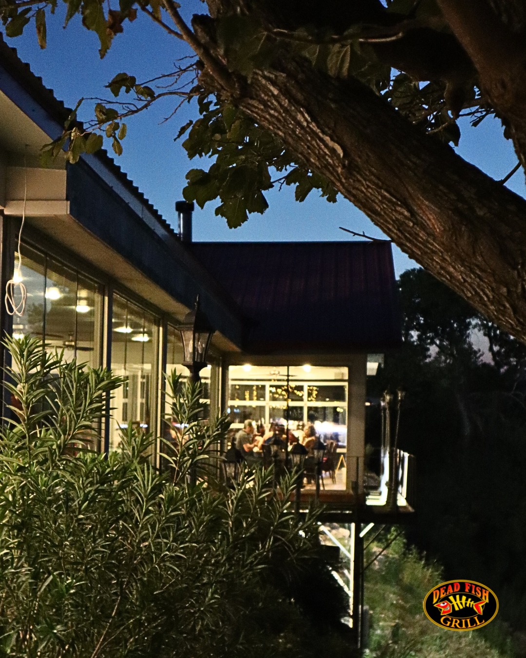 Dead Fish Grill Belton