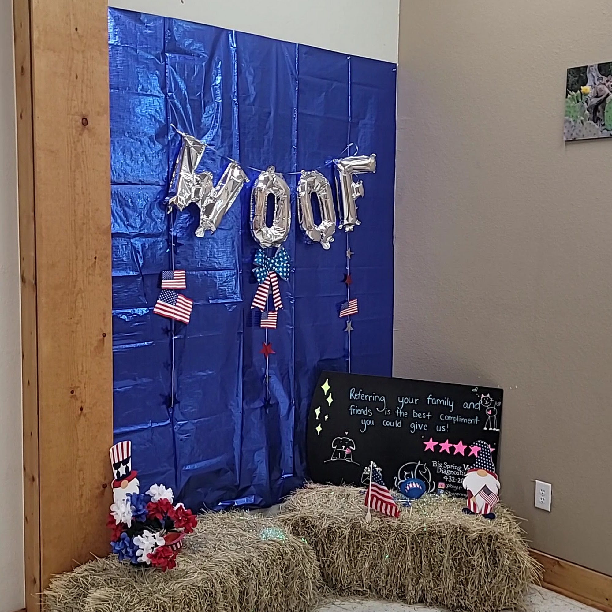 Big Spring Veterinary Diagnostic Hospital Big Spring