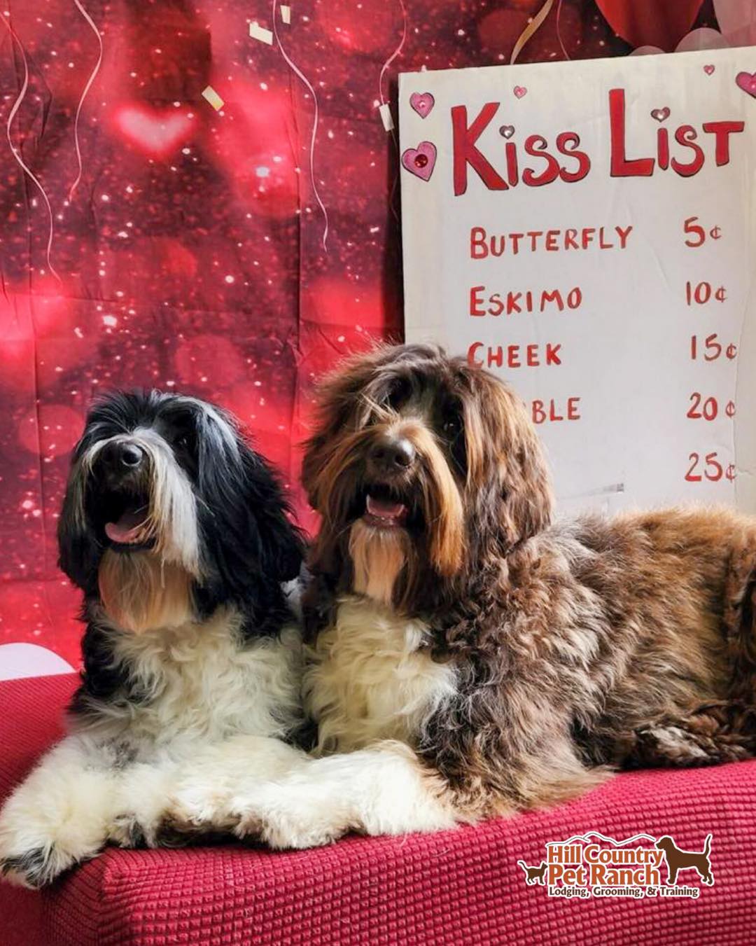 Hill Country Pet Ranch Boerne