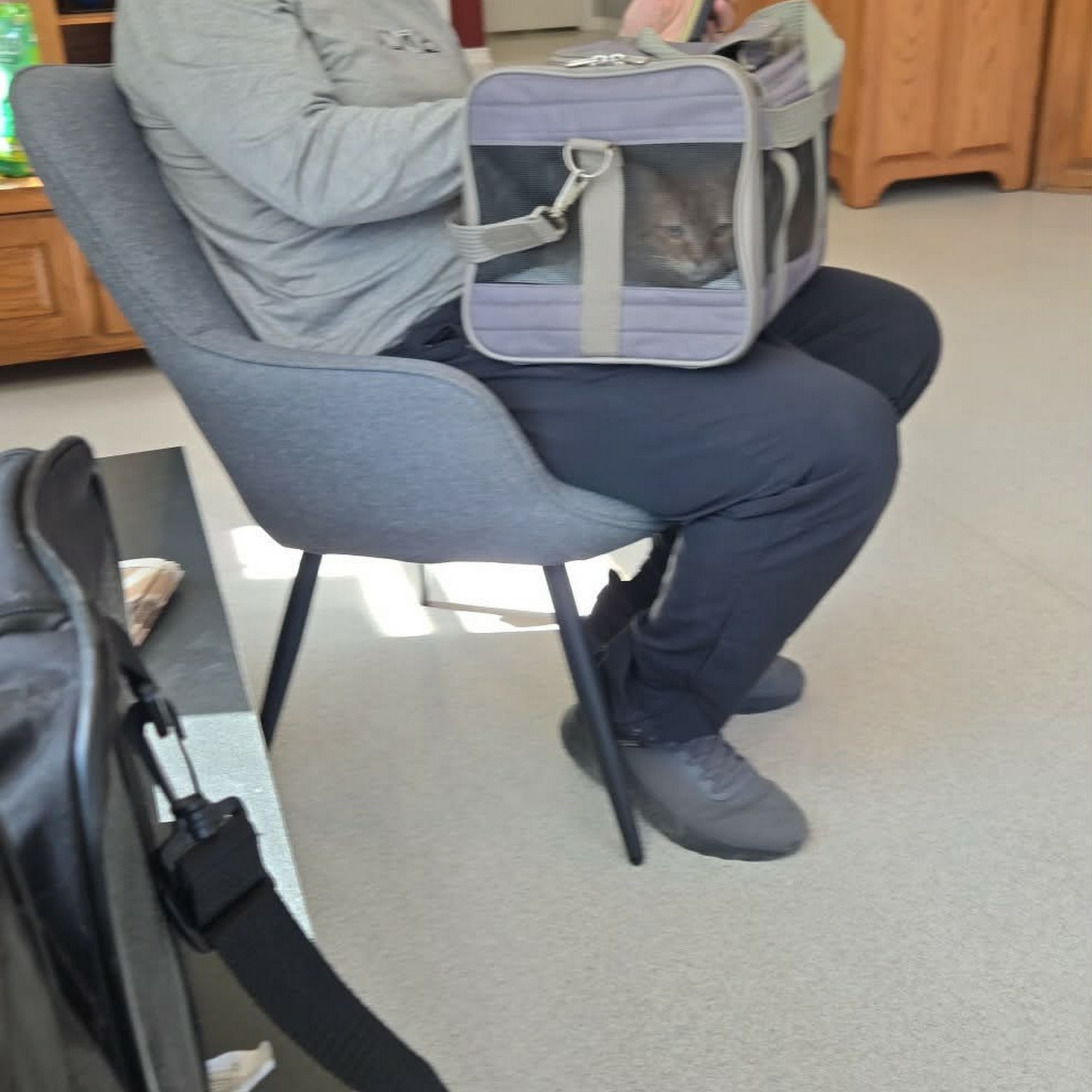 Chisholm Trail Pet Clinic Inc Bowie