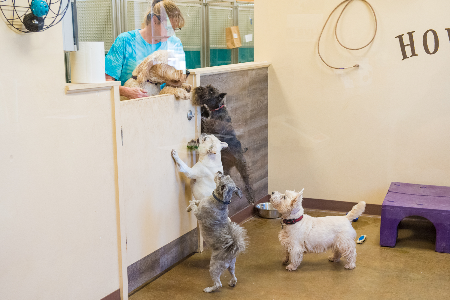 Barking Ranch Pet Resort Brenham