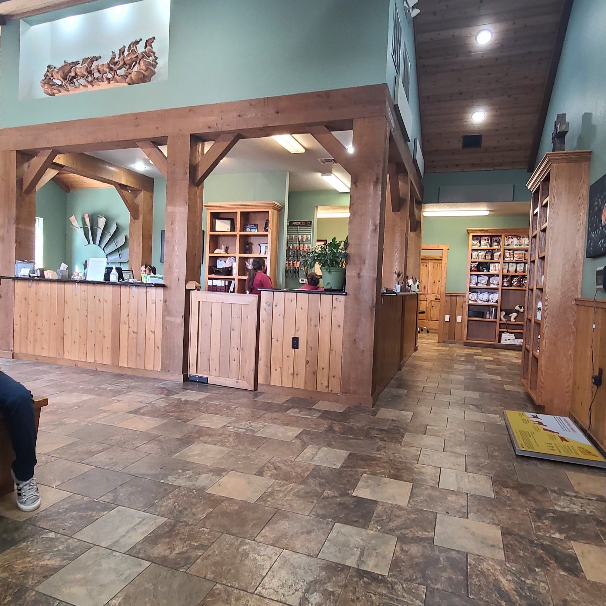 Bridgeport Animal Hospital PLLC Bridgeport