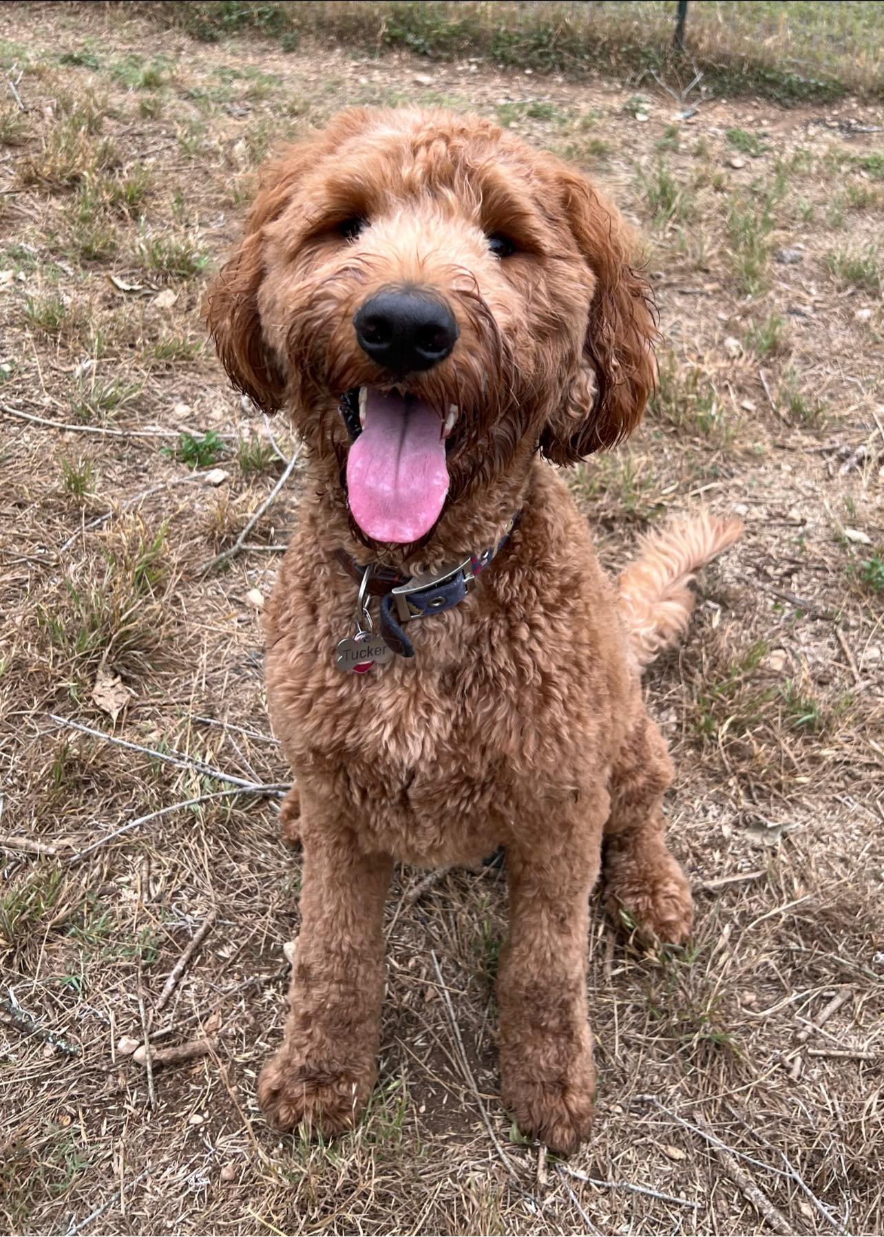 Ruff Ranch Pet Boarding Buda