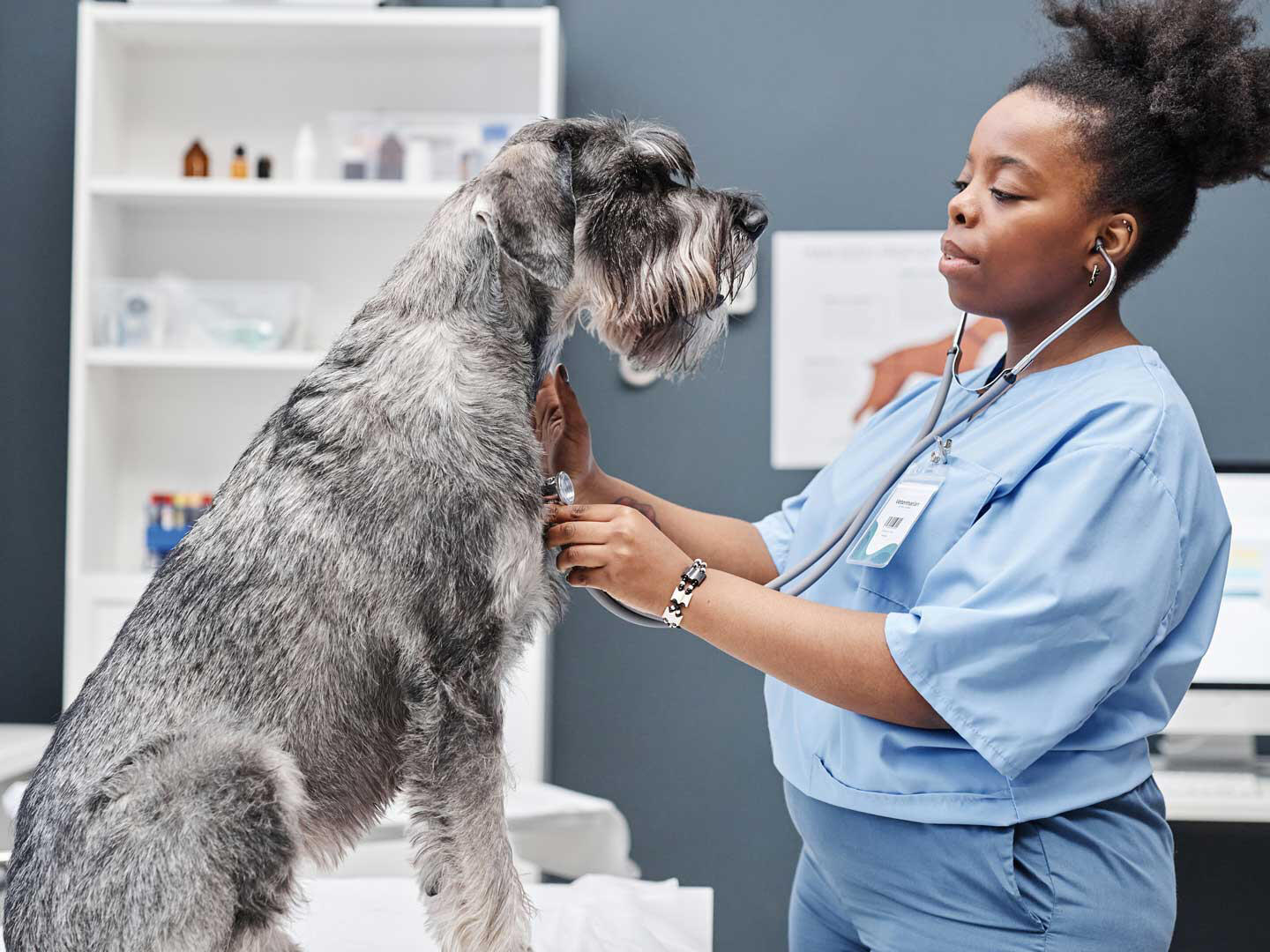 Banfield Pet Hospital Burleson