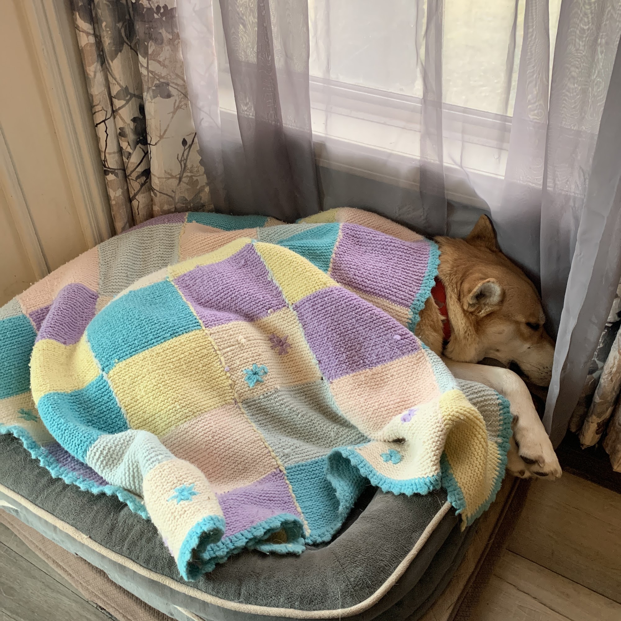 Burleson Animal Emergency Hospital Burleson