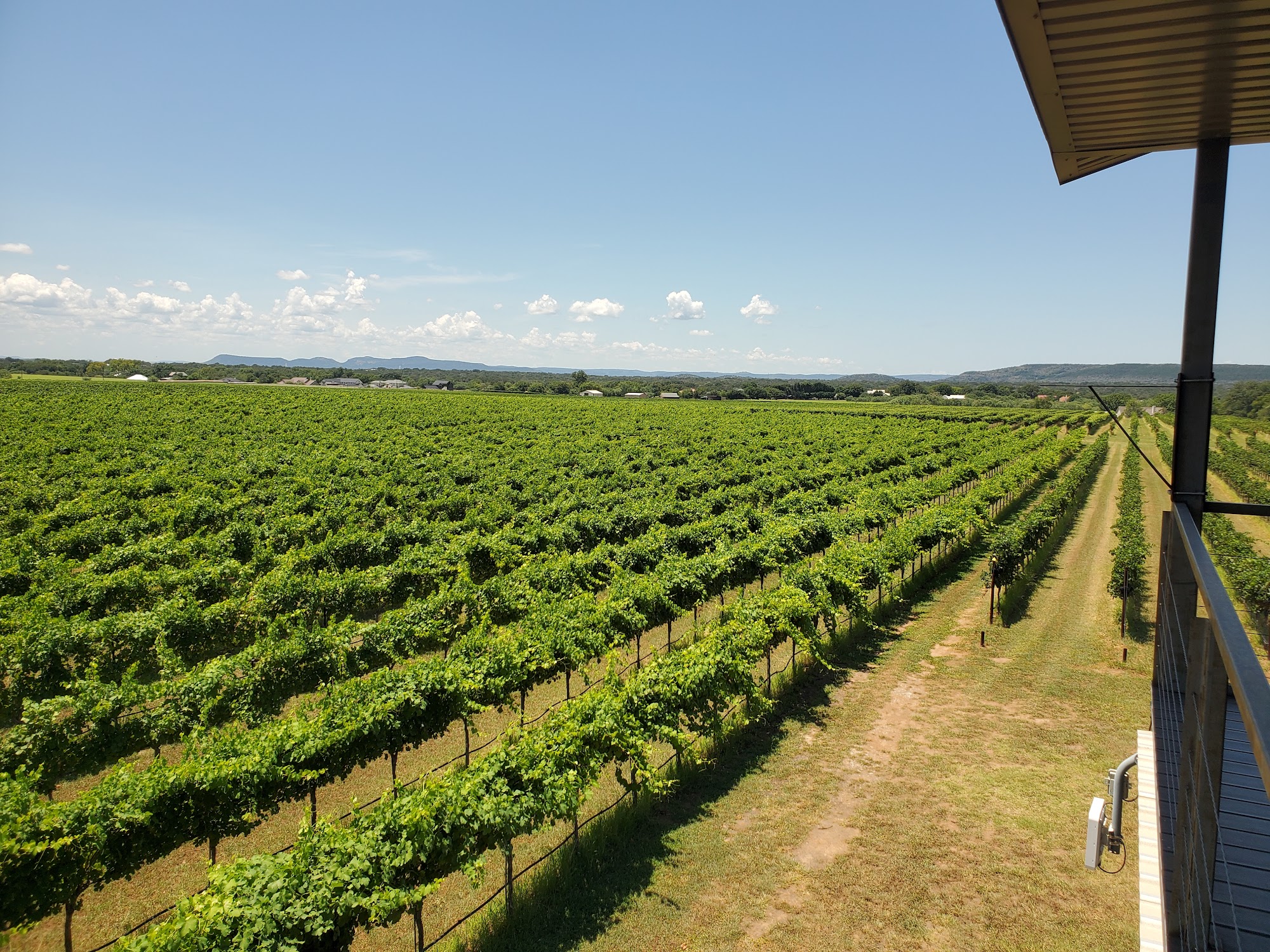 Uplift Vineyard Burnet